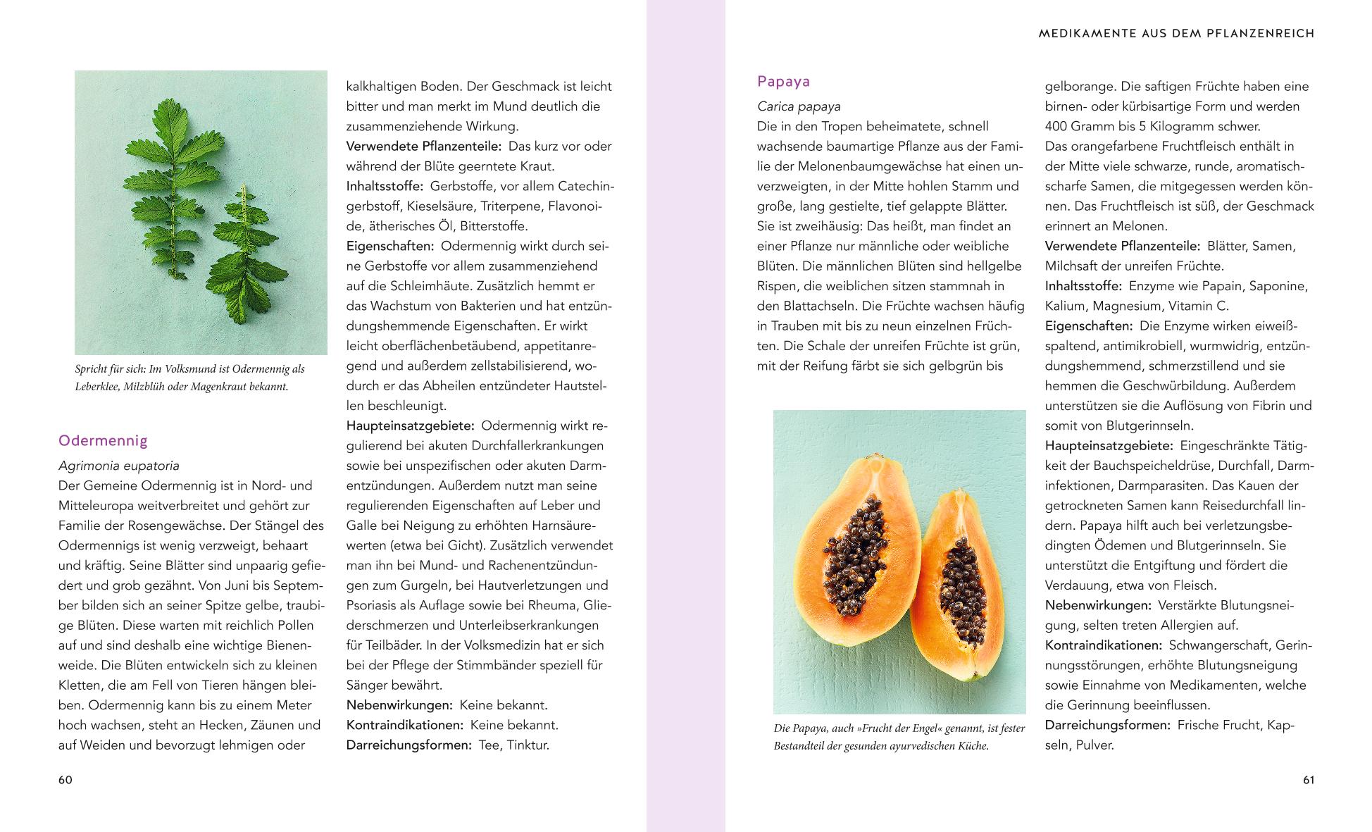 9783833875939_innenansicht_04 9783833875939_innenansicht_04.jpg