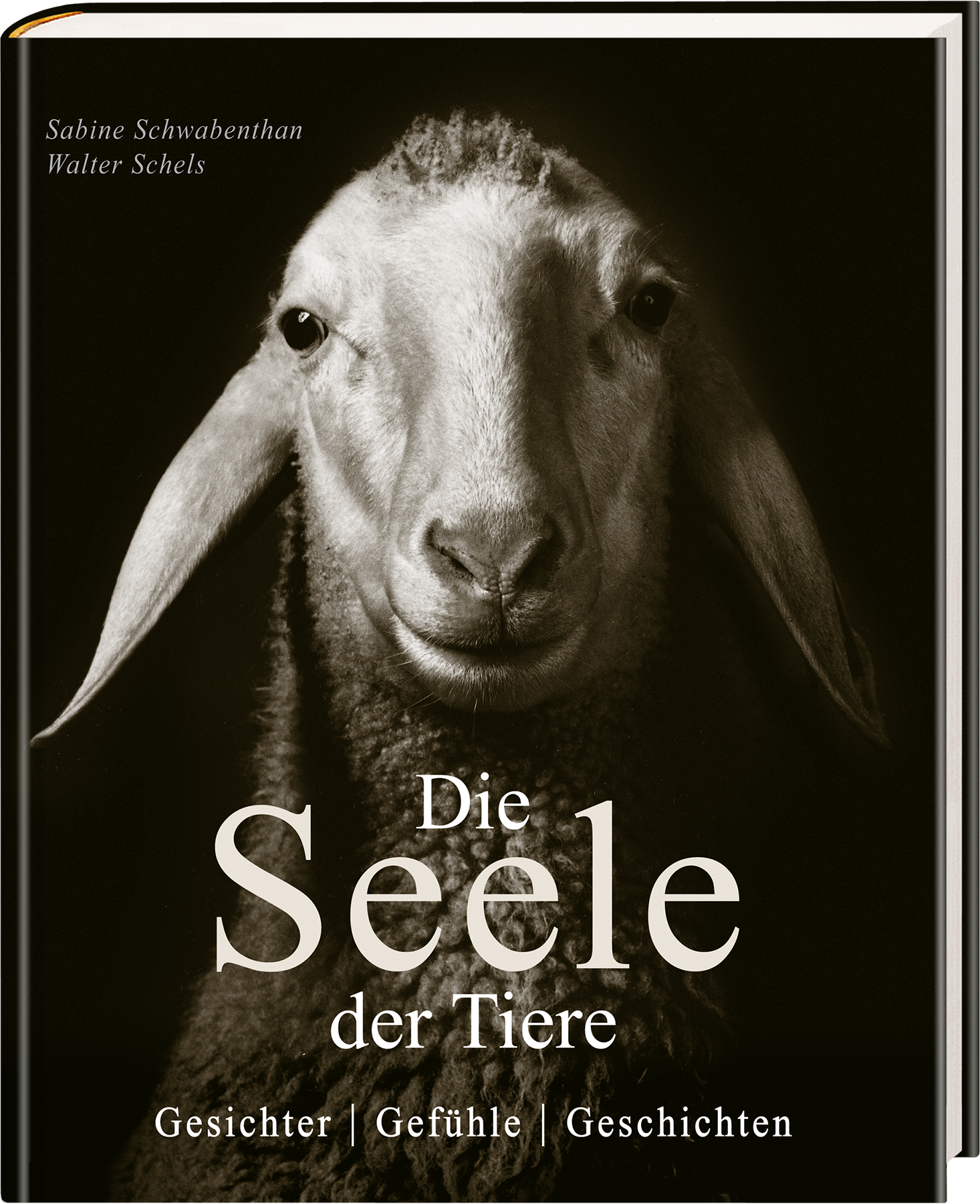 9783809448006_innenansicht_05.png