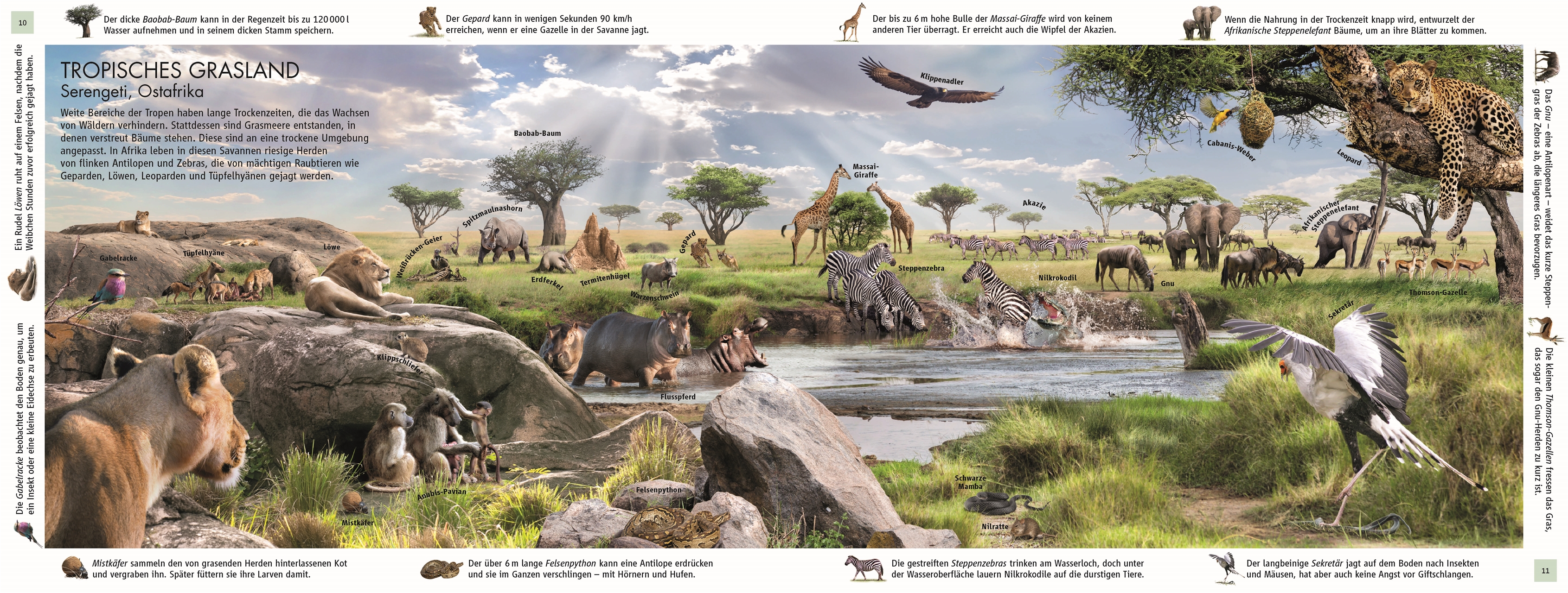 9783831047642_innenansicht_03 9783831047642_innenansicht_03.jpg