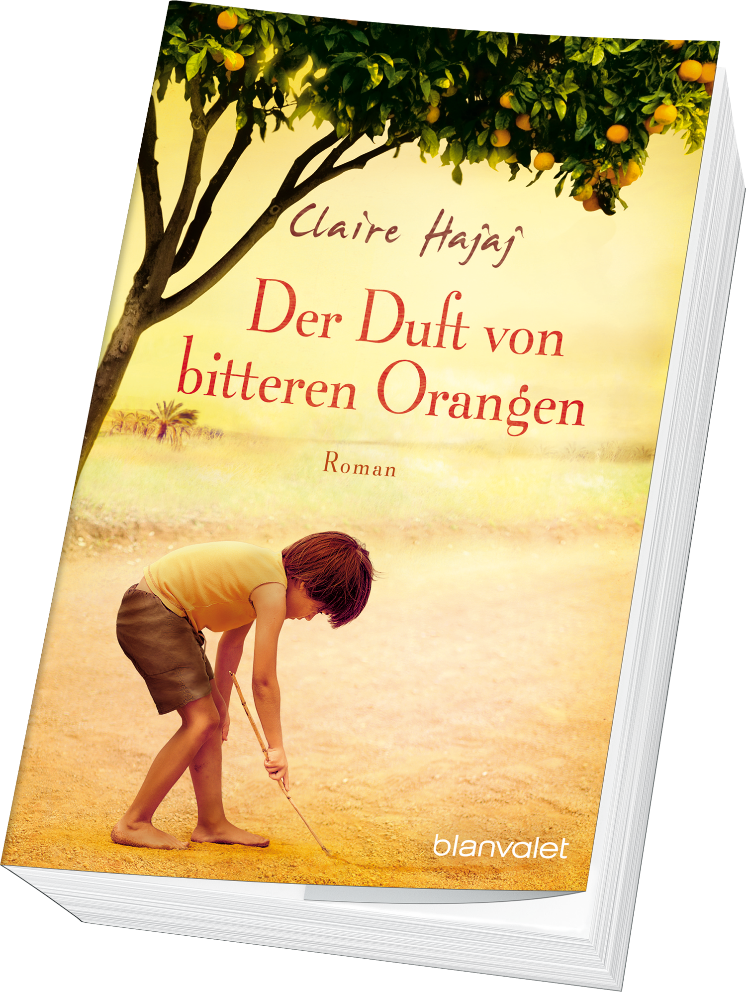 9783734100468_innenansicht_01.png