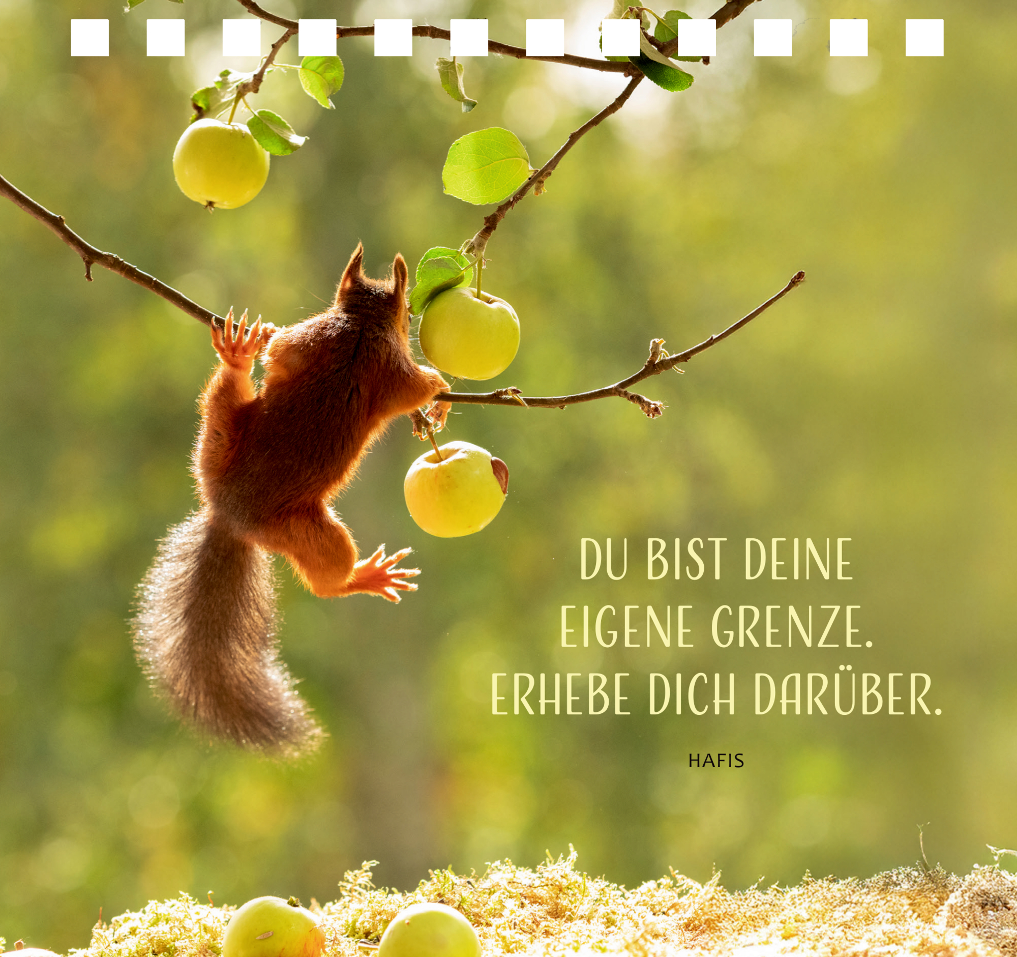 9783649651628_innenansicht_14 9783649651628_innenansicht_14.jpg