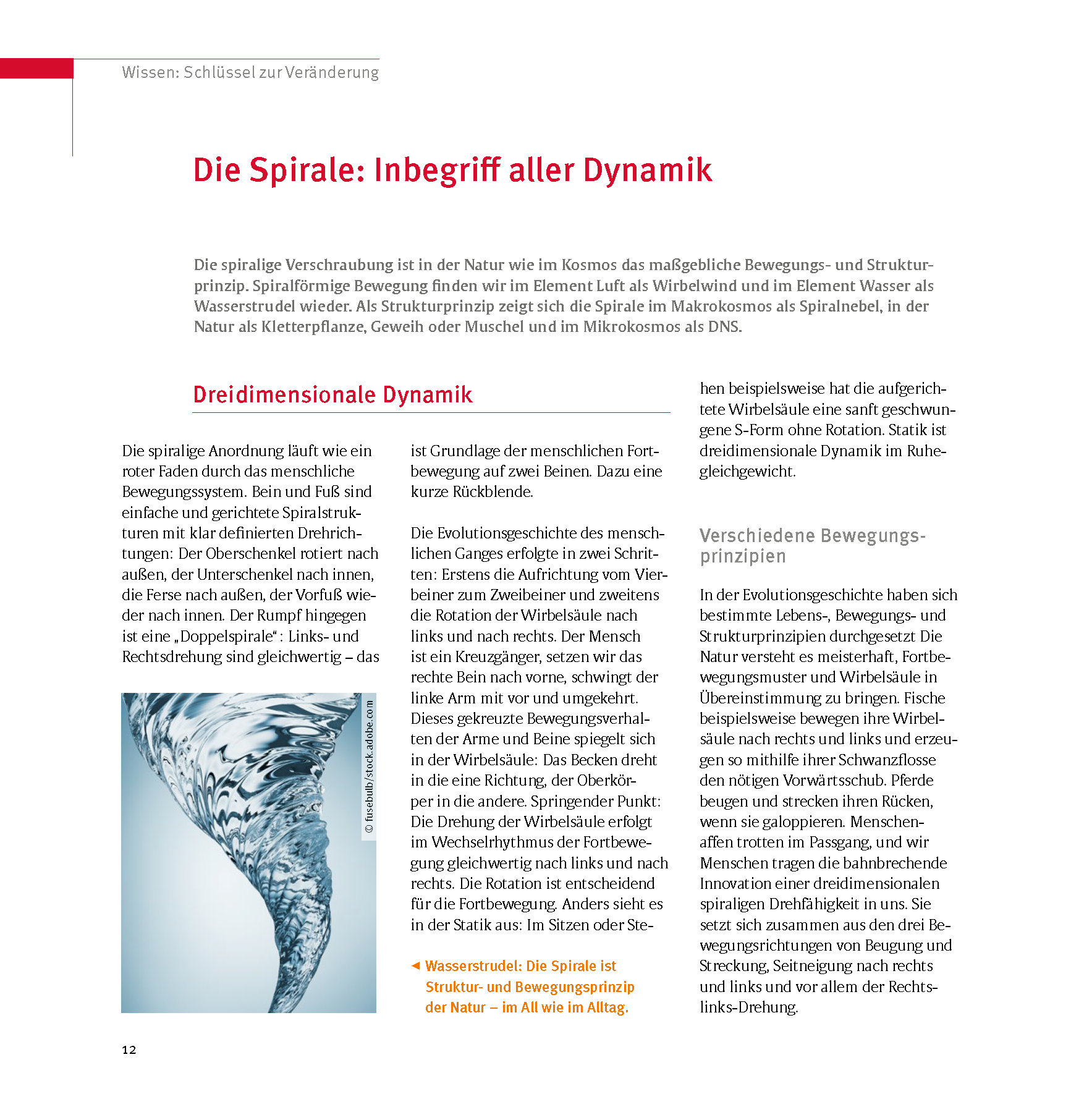 9783432120034_innenansicht_11 9783432120034_innenansicht_11.png