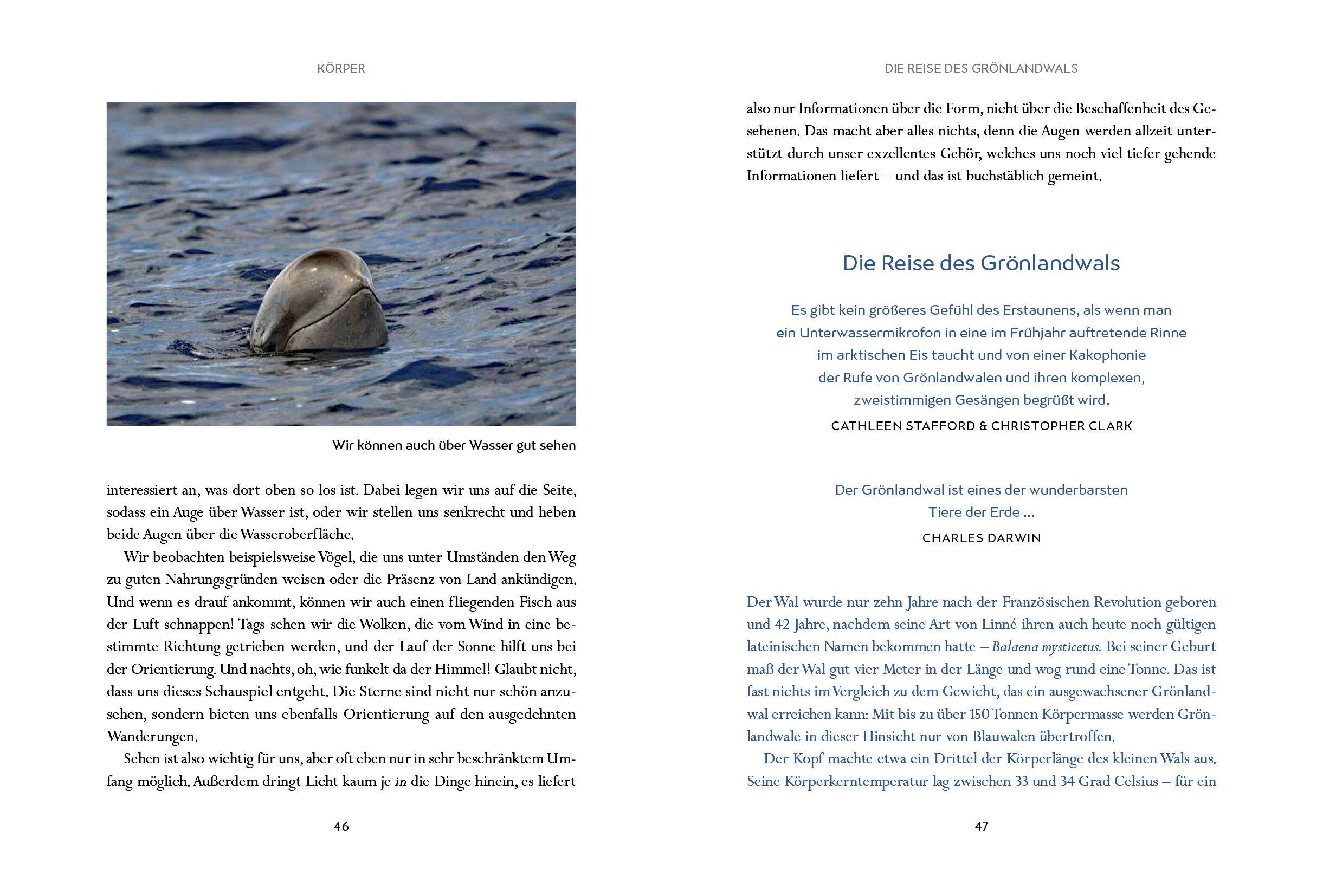 9783328602965_innenansicht_02 9783328602965_innenansicht_02.jpg