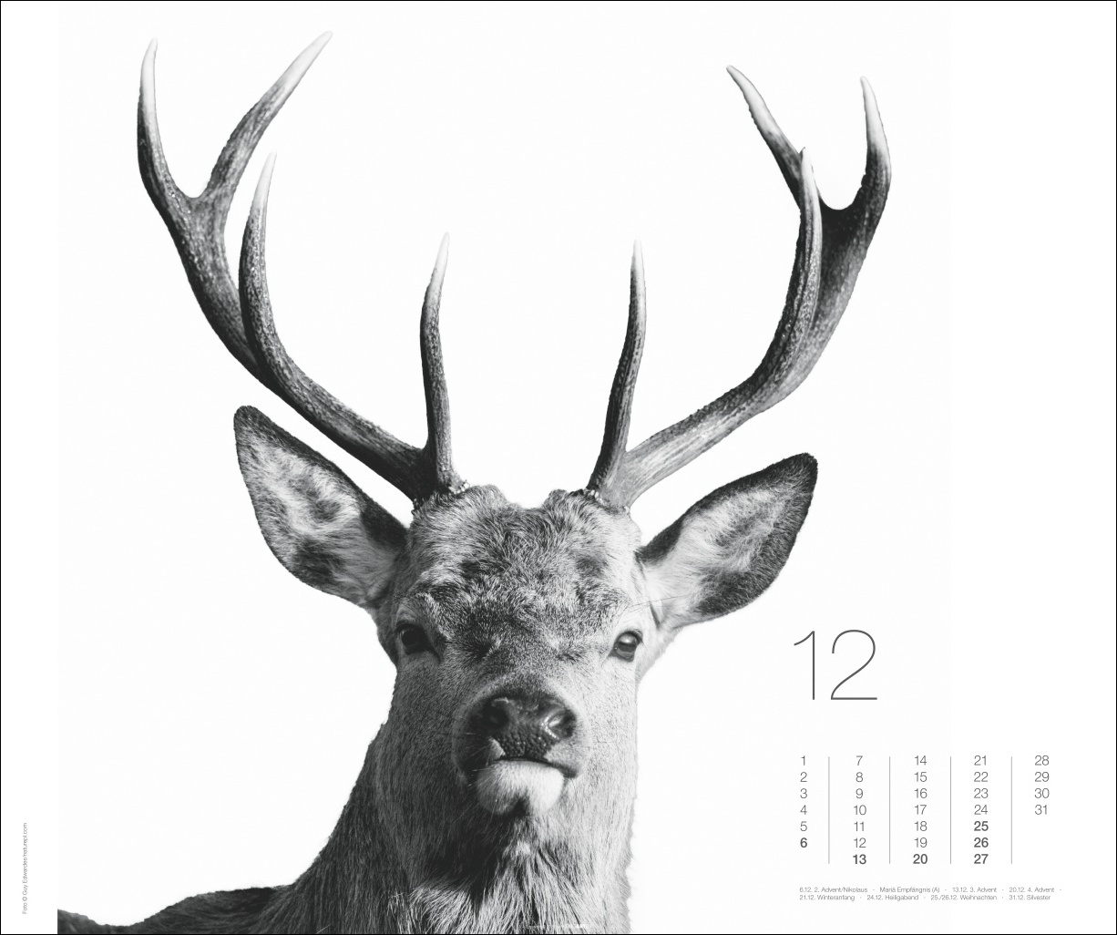 9783839902776_innenansicht_12 9783839902776_innenansicht_12.jpg