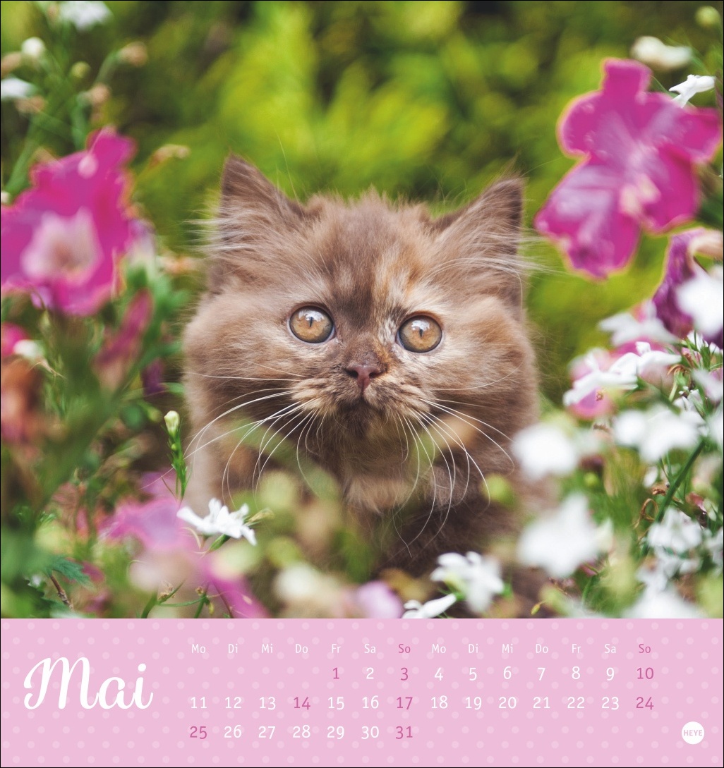 9783756410460_innenansicht_05 9783756410460_innenansicht_05.jpg