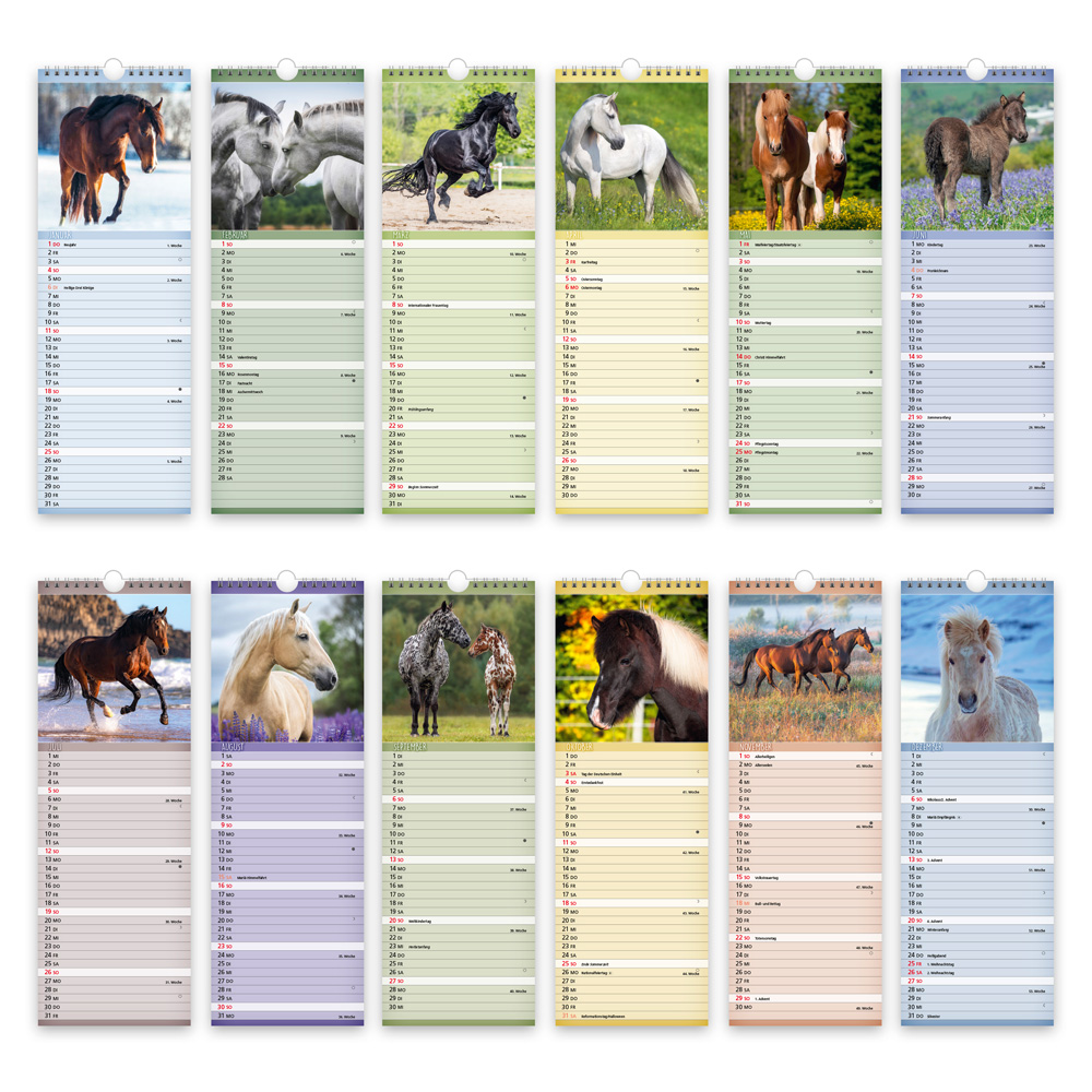 9783988024428_innenansicht_04 9783988024428_innenansicht_04.jpg