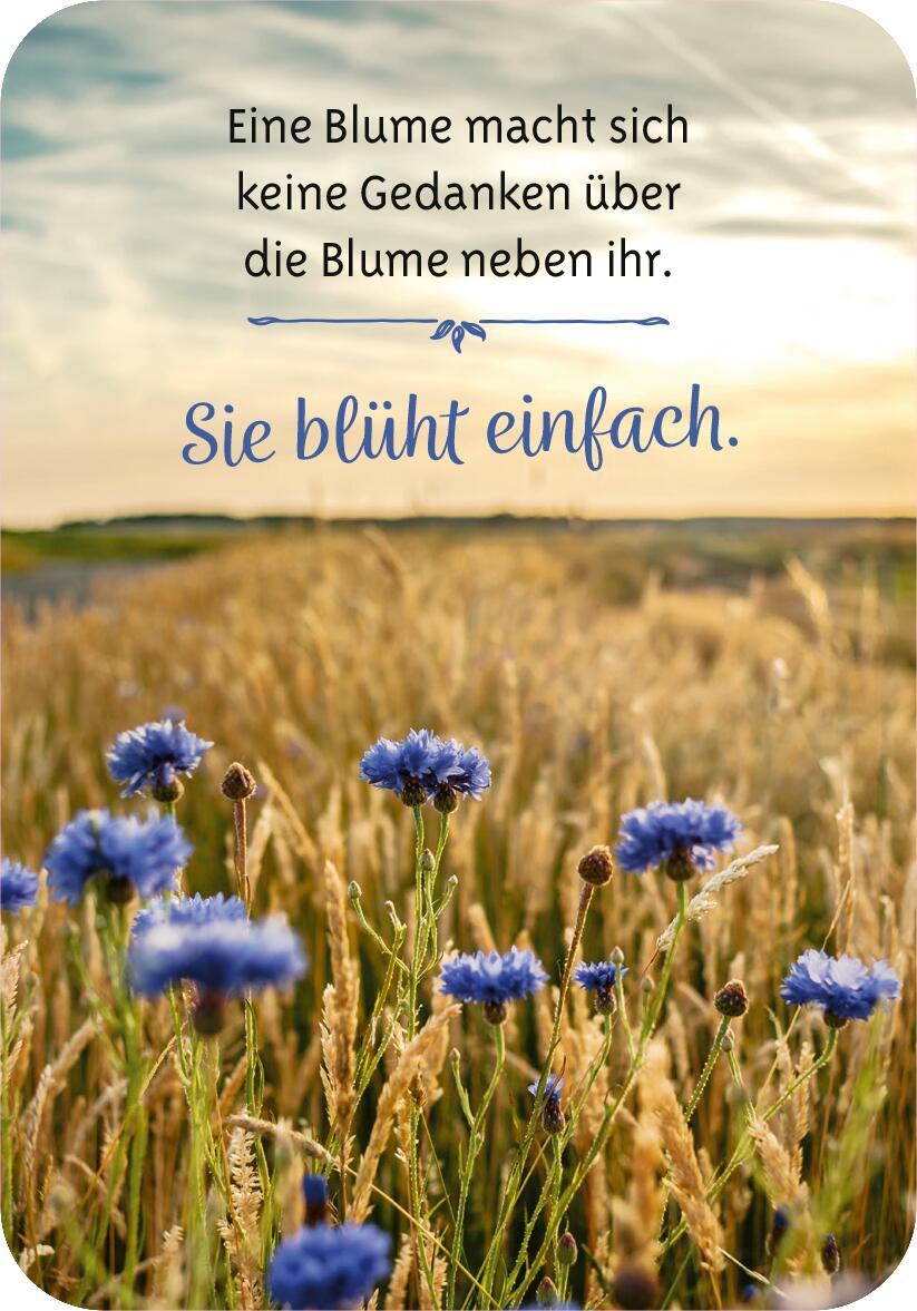 9783845852829_innenansicht_05.jpg