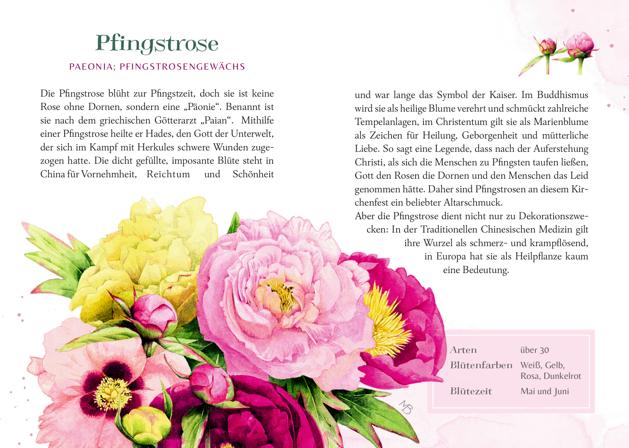 9783649646907_innenansicht_02.jpg
