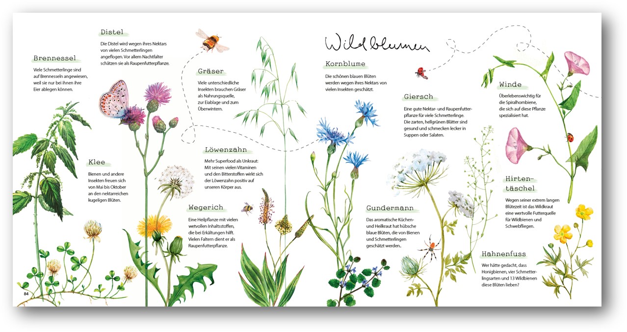 9783957349873_innenansicht_03 9783957349873_innenansicht_03.jpg