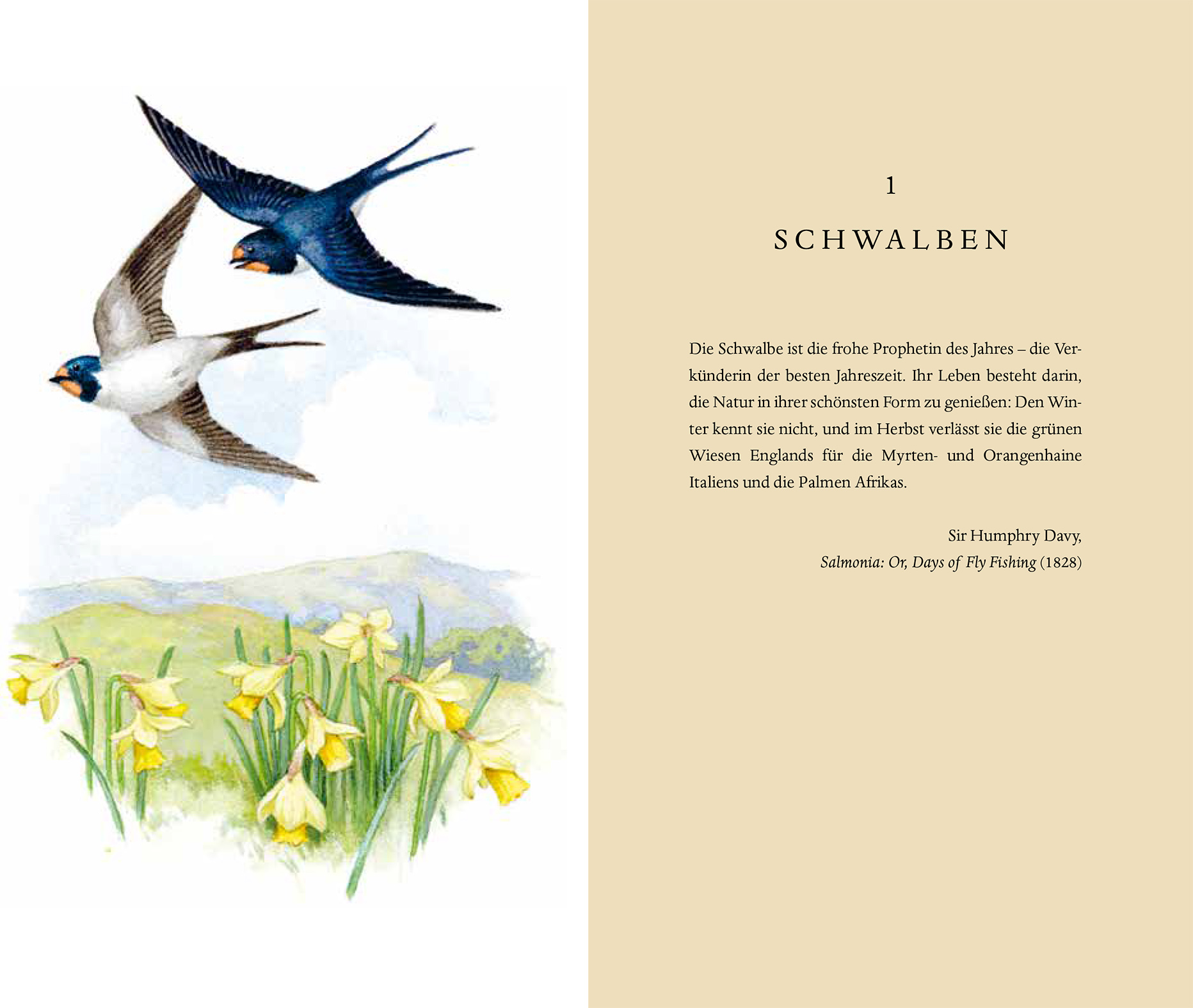 9783832180058_innenansicht_03 9783832180058_innenansicht_03.jpg