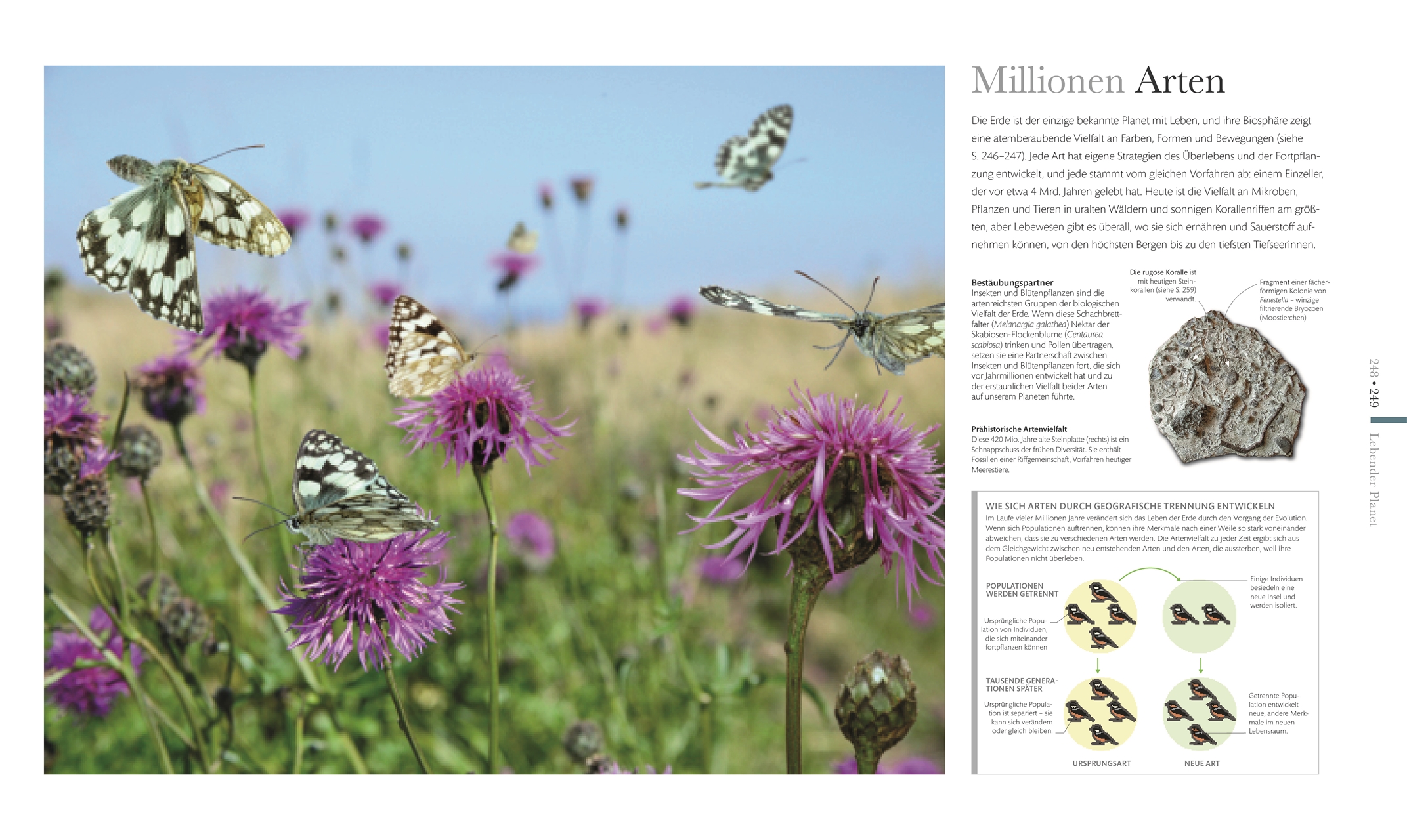 9783831047352_innenansicht_07 9783831047352_innenansicht_07.jpg