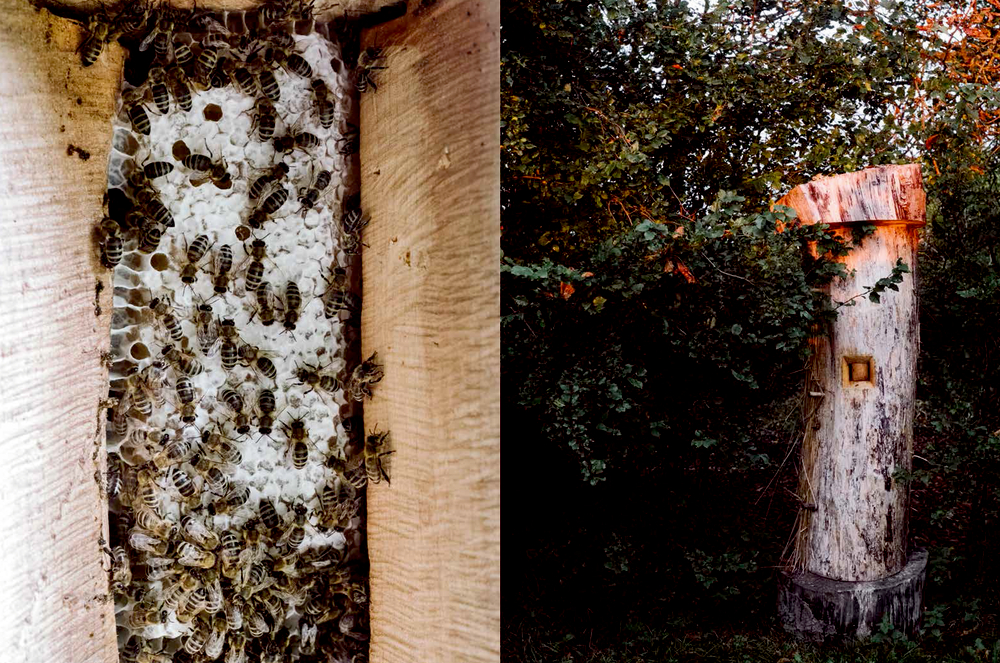 9783881171908_innenansicht_07 9783881171908_innenansicht_07.jpg