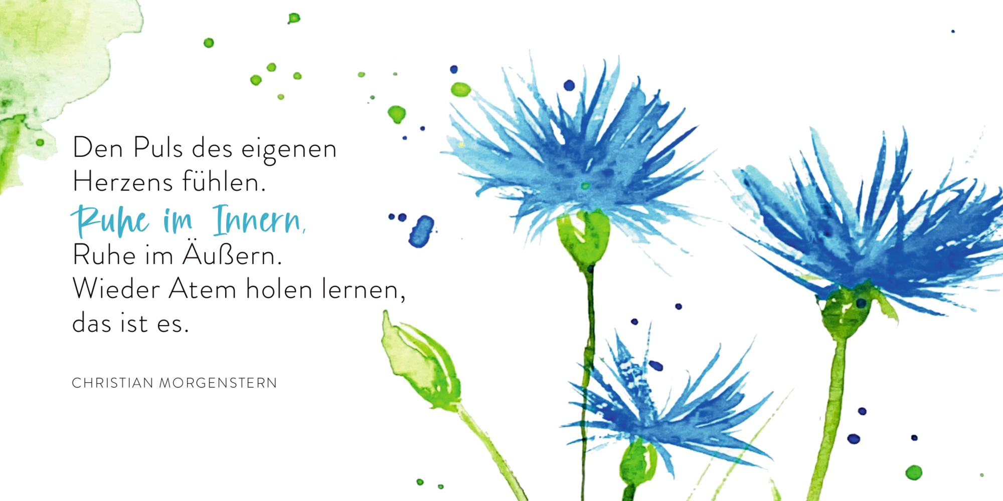 9783649646860_innenansicht_01.jpg
