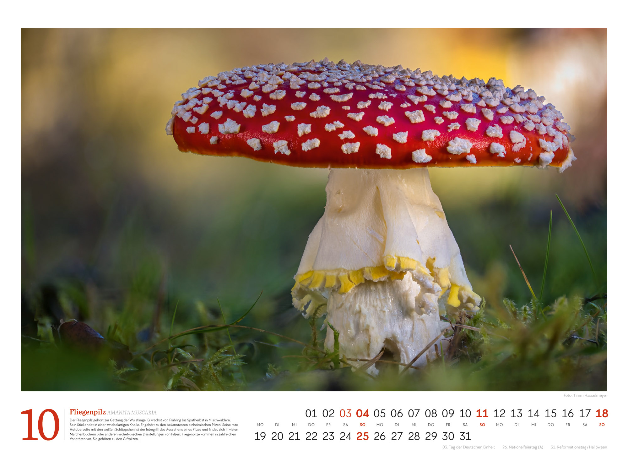 9783838436333_innenansicht_10 9783838436333_innenansicht_10.jpg