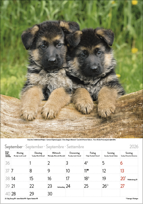 9783731883616_innenansicht_09 9783731883616_innenansicht_09.jpg