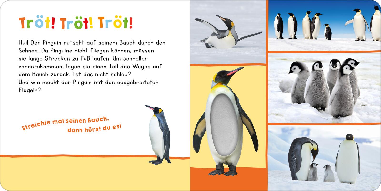 9783845865812_innenansicht_02.jpg