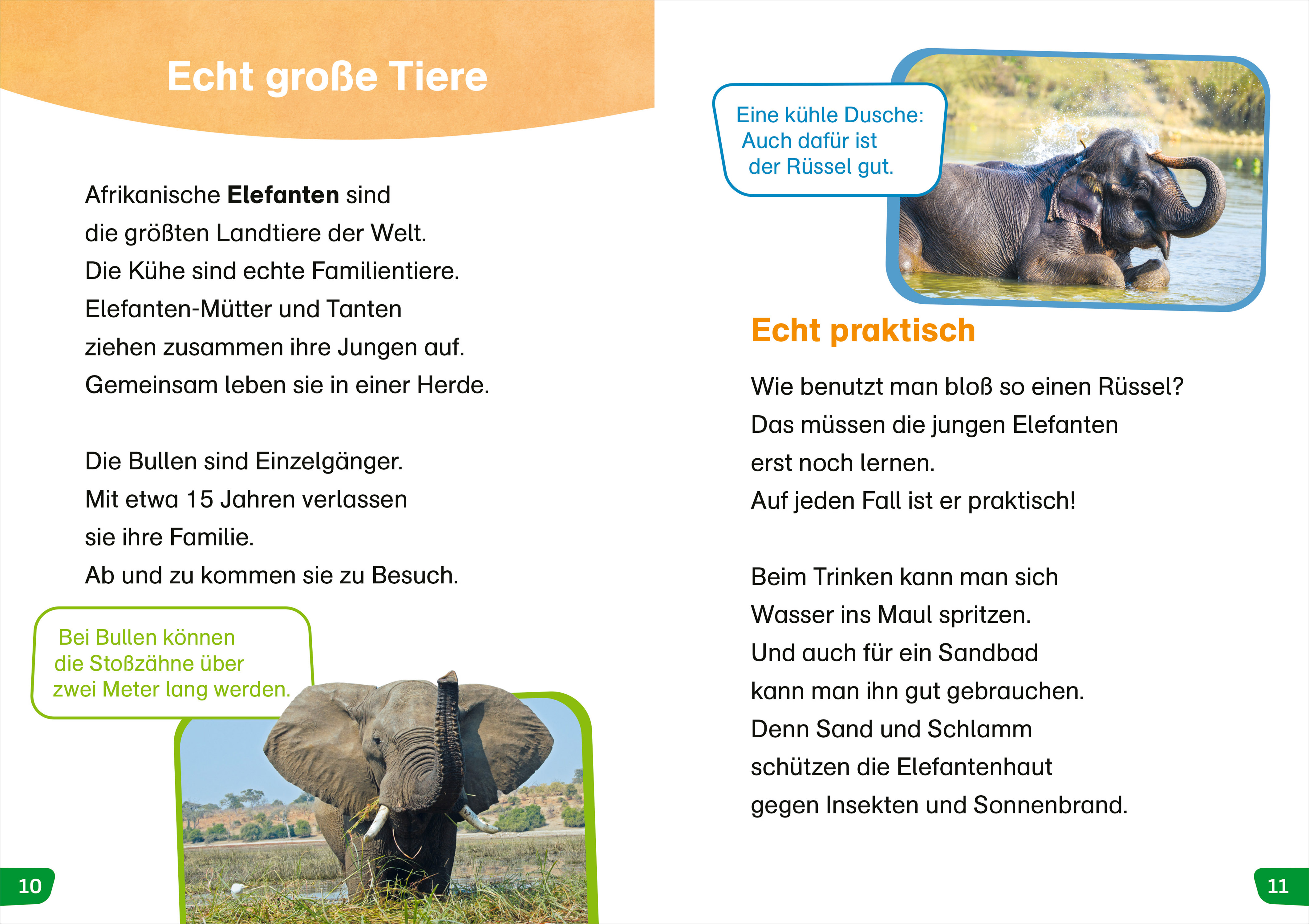 9783788677398_innenansicht_01 9783788677398_innenansicht_01.jpg