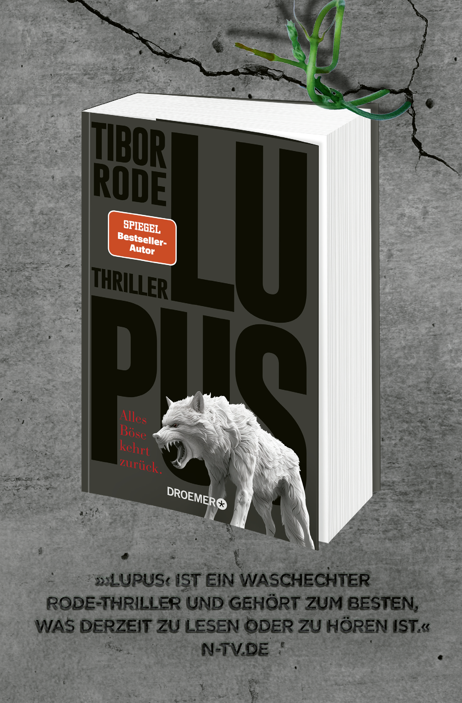 9783426309179_innenansicht_02 9783426309179_innenansicht_02.png