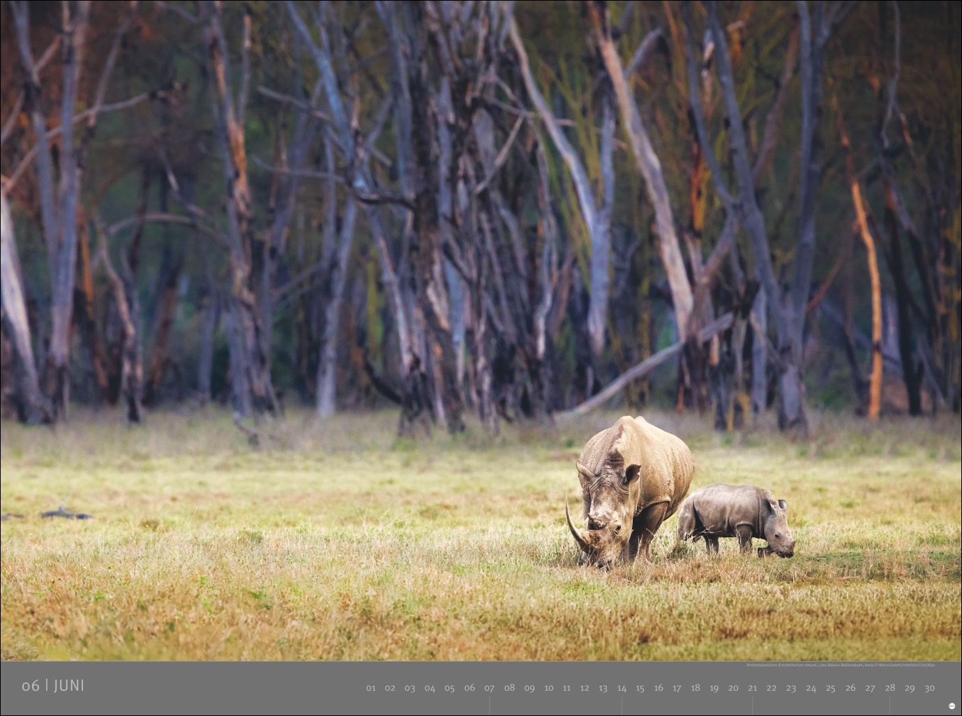 9783756410545_innenansicht_06 9783756410545_innenansicht_06.jpg