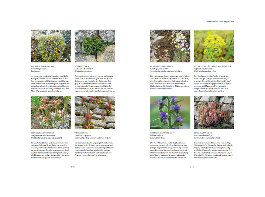 9783258083568_innenansicht_01 9783258083568_innenansicht_01.jpg