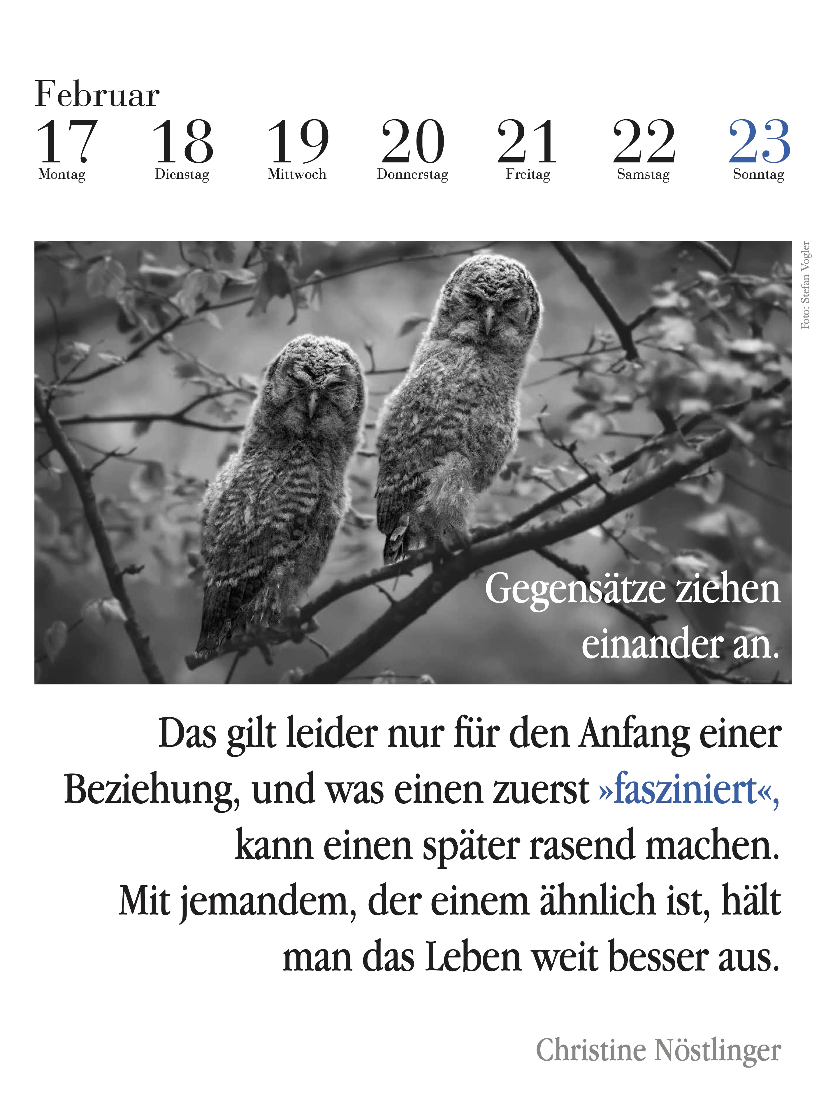 9783895617997_innenansicht_03.jpg