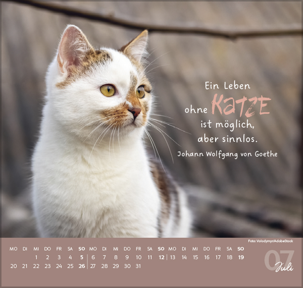 9783731888482_innenansicht_07 9783731888482_innenansicht_07.jpg