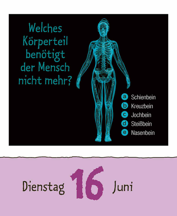 9783731887041_innenansicht_09.jpg