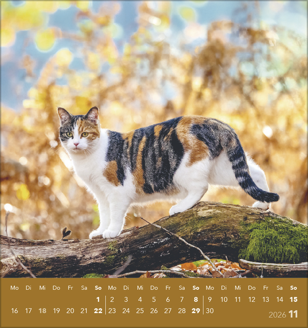 9783731884071_innenansicht_11 9783731884071_innenansicht_11.jpg