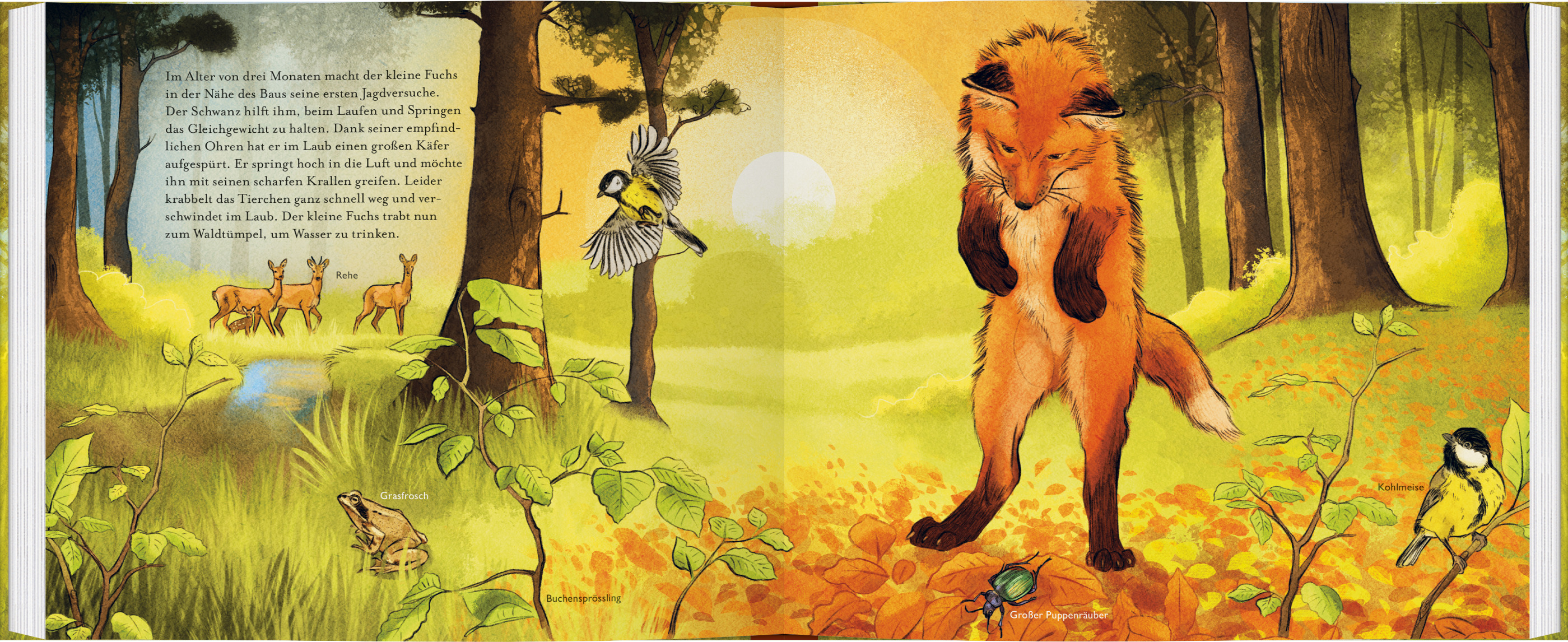 9783836963572_innenansicht_03 9783836963572_innenansicht_03.jpg