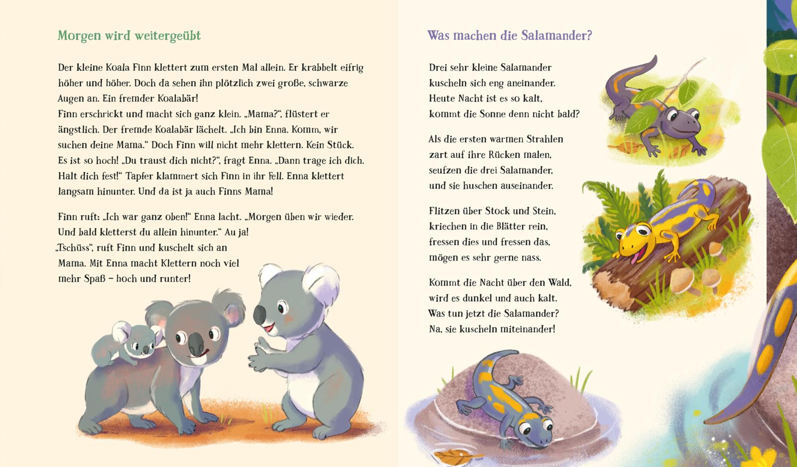 9783551062536_innenansicht_05.jpg