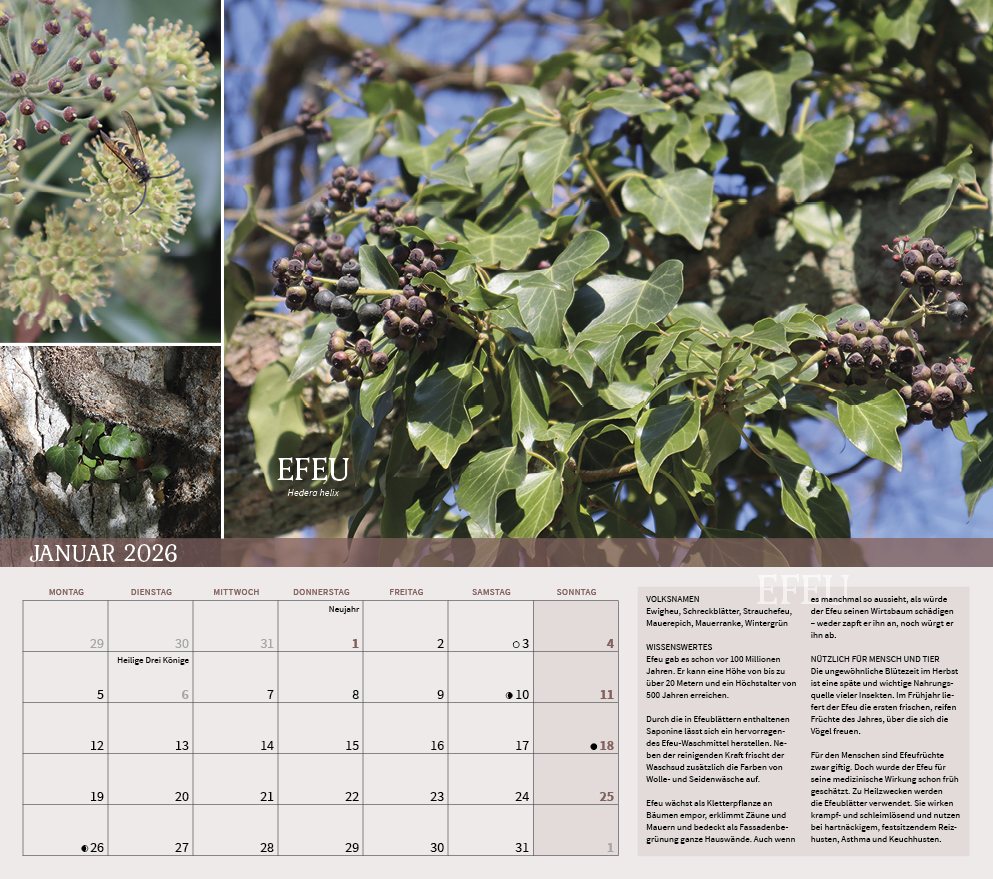 9783861925309_innenansicht_01 9783861925309_innenansicht_01.jpg