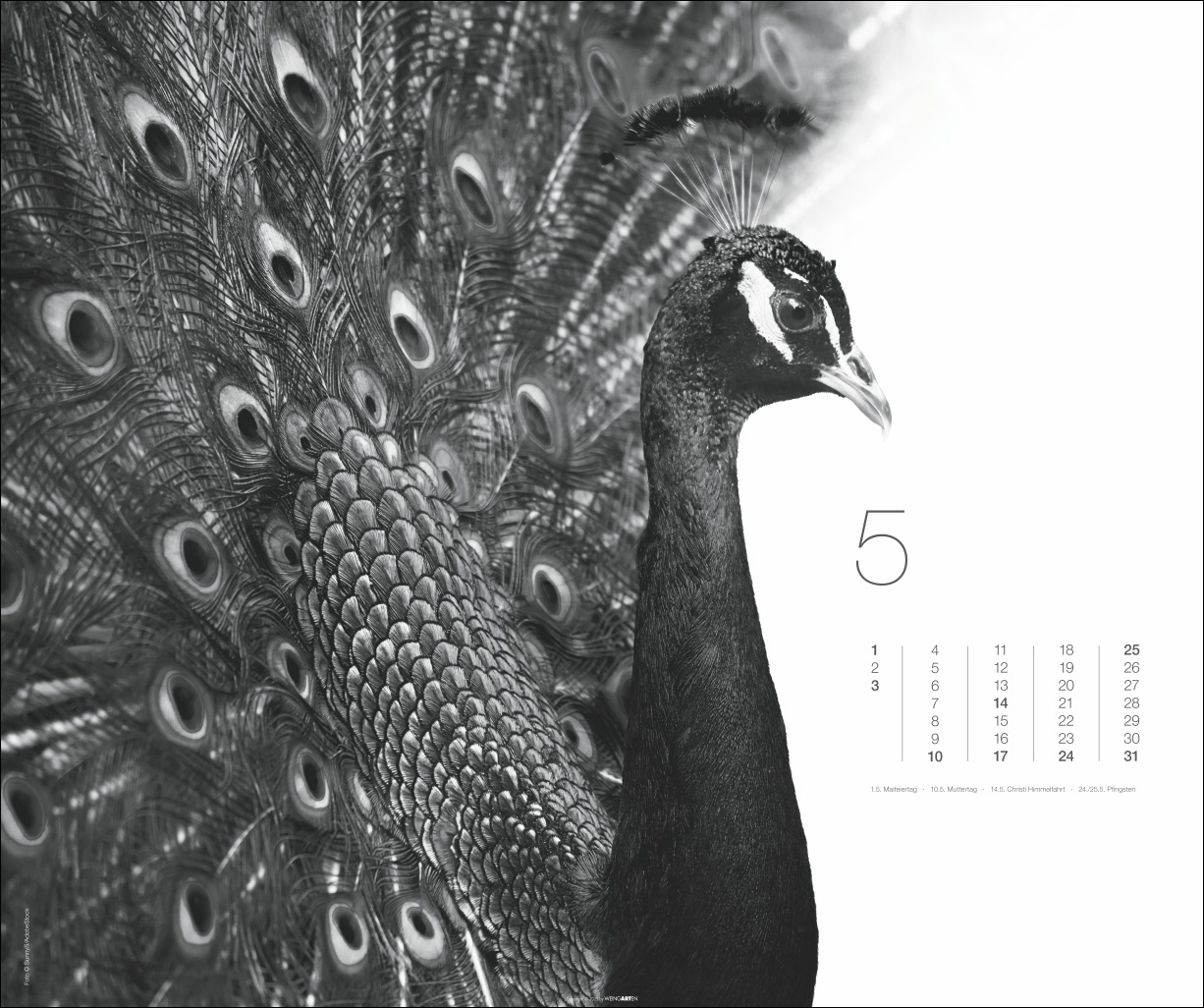 9783839902776_innenansicht_05 9783839902776_innenansicht_05.jpg