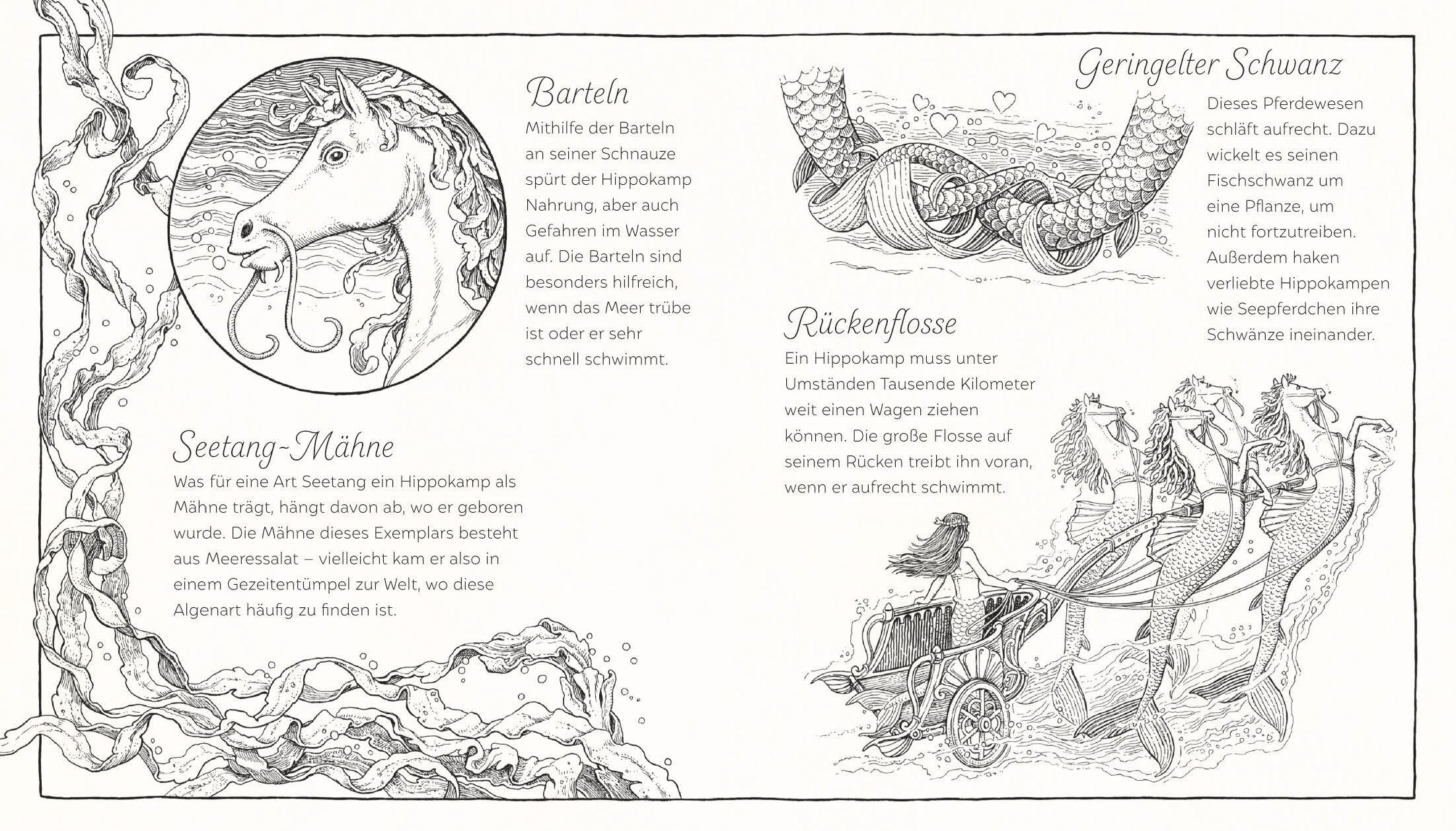 9783791375519_innenansicht_14 9783791375519_innenansicht_14.jpg