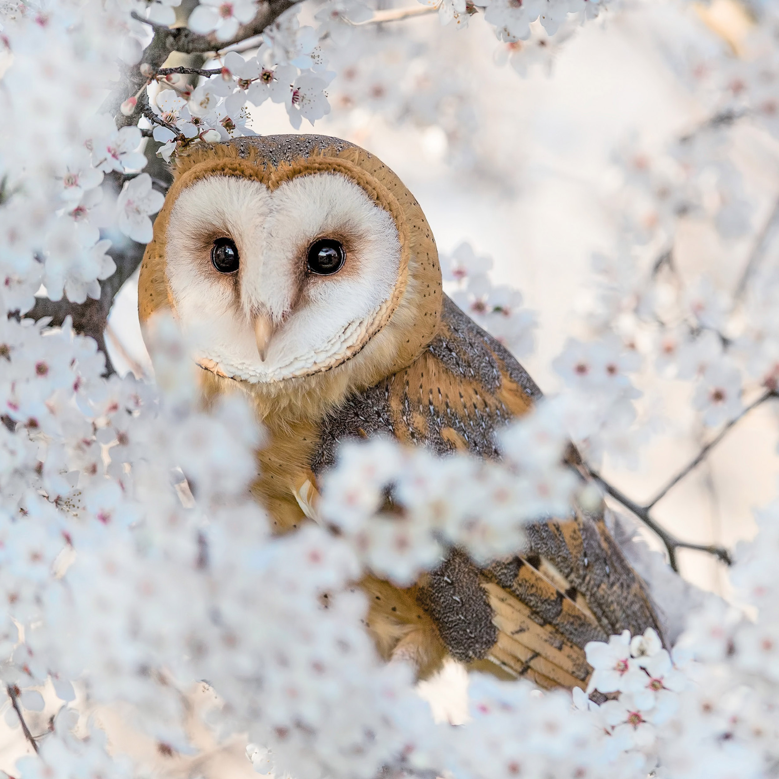 9783959295208_innenansicht_01 9783959295208_innenansicht_01.jpg