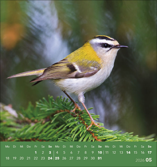 9783731890225_innenansicht_05 9783731890225_innenansicht_05.jpg