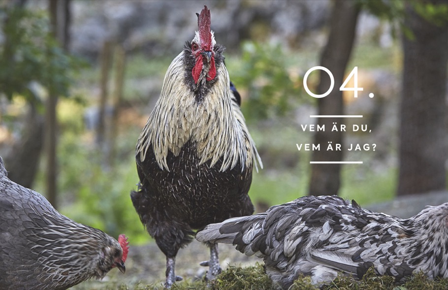 9783866907614_innenansicht_04 9783866907614_innenansicht_04.jpg