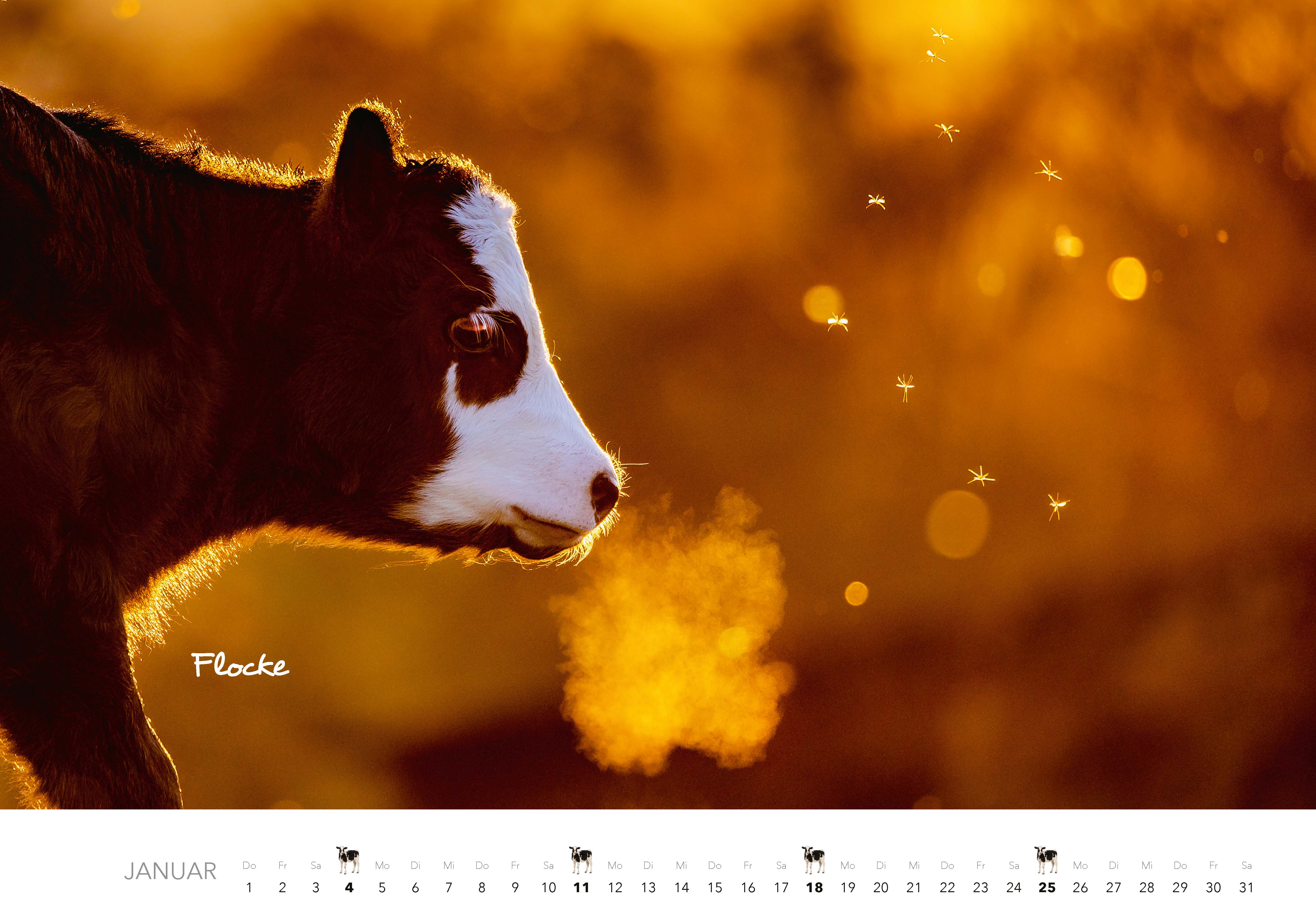 9783966649704_innenansicht_01 9783966649704_innenansicht_01.jpg