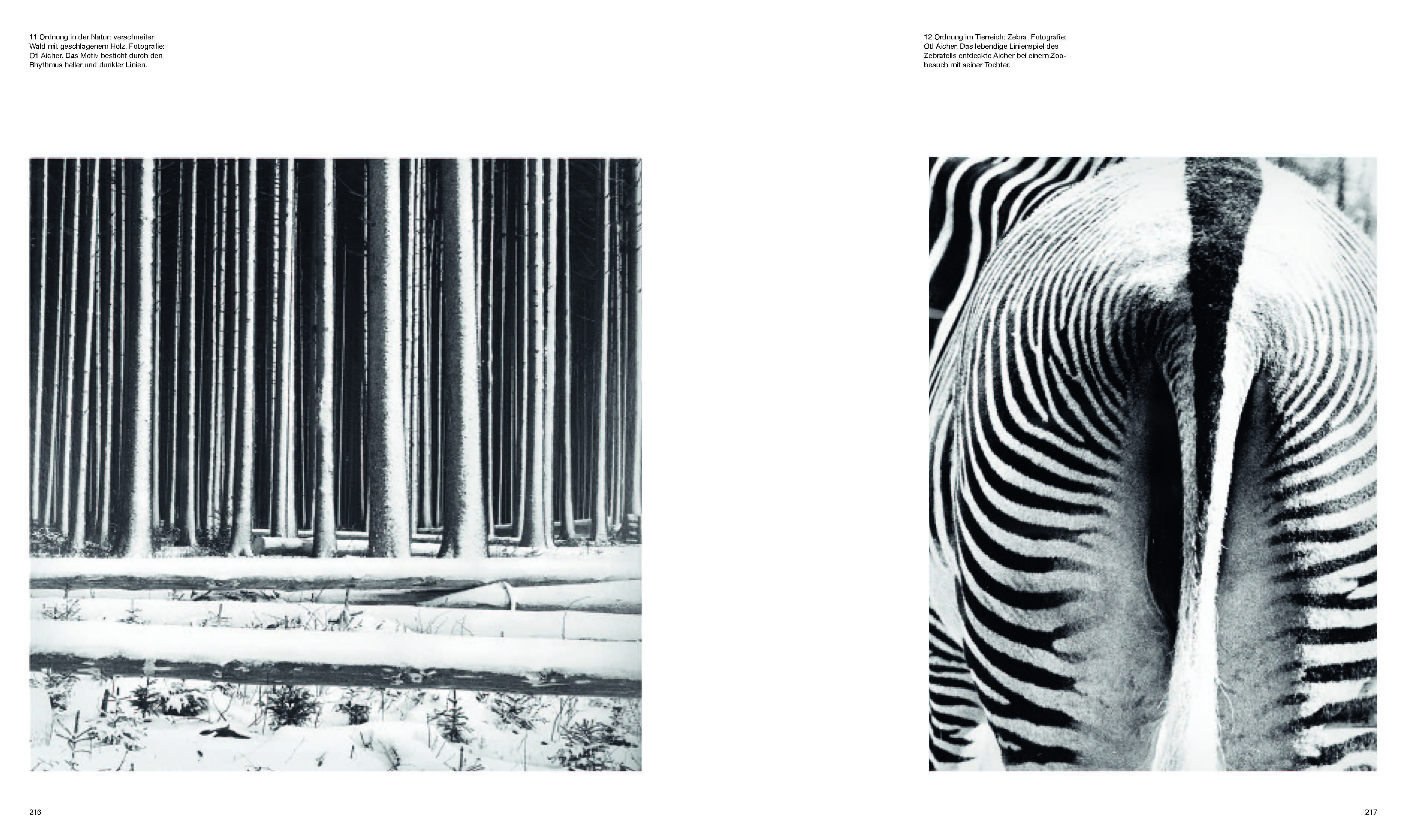 9783791379432_innenansicht_13 9783791379432_innenansicht_13.jpg