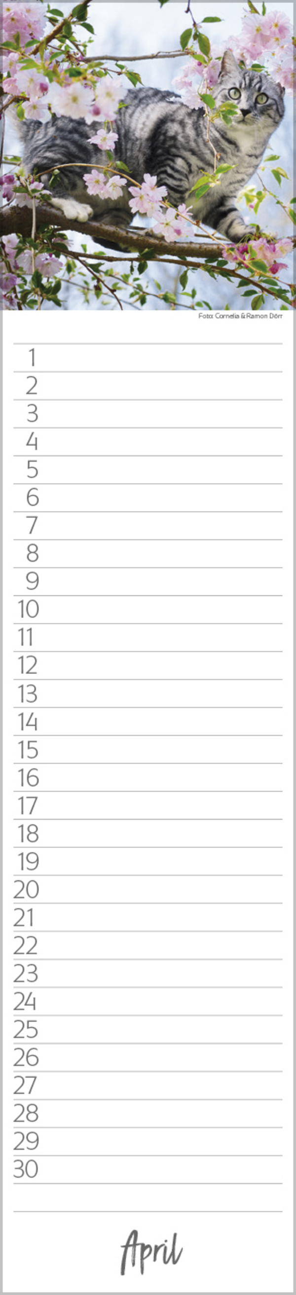 9783731887638_innenansicht_04 9783731887638_innenansicht_04.jpg