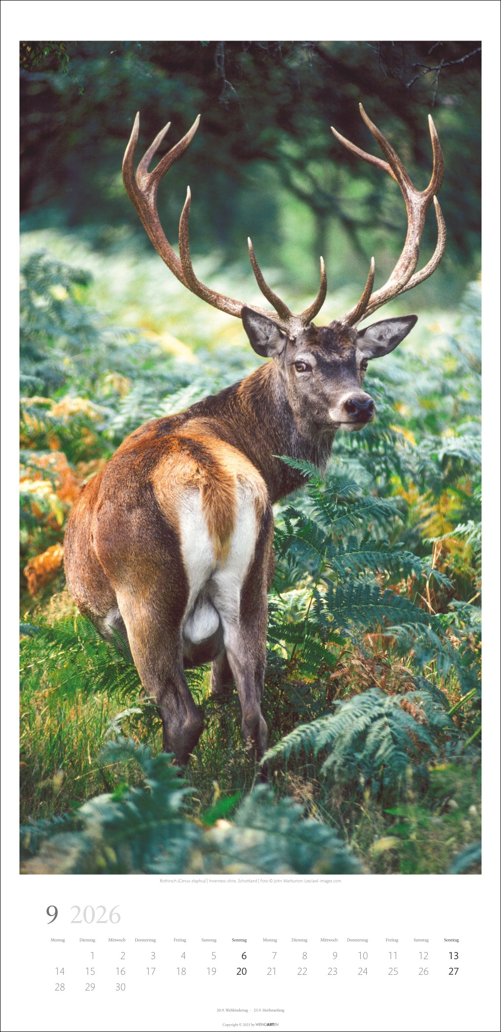 9783839902189_innenansicht_09 9783839902189_innenansicht_09.jpg