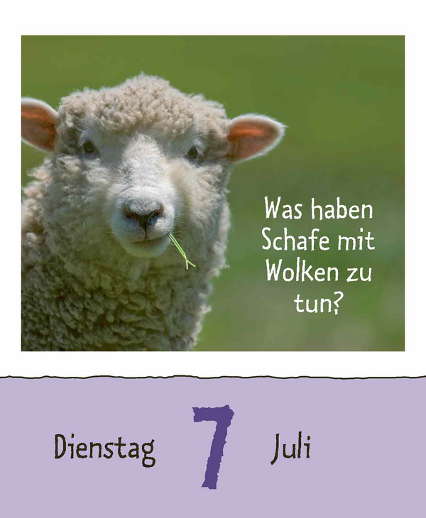 9783731889199_innenansicht_10.jpg