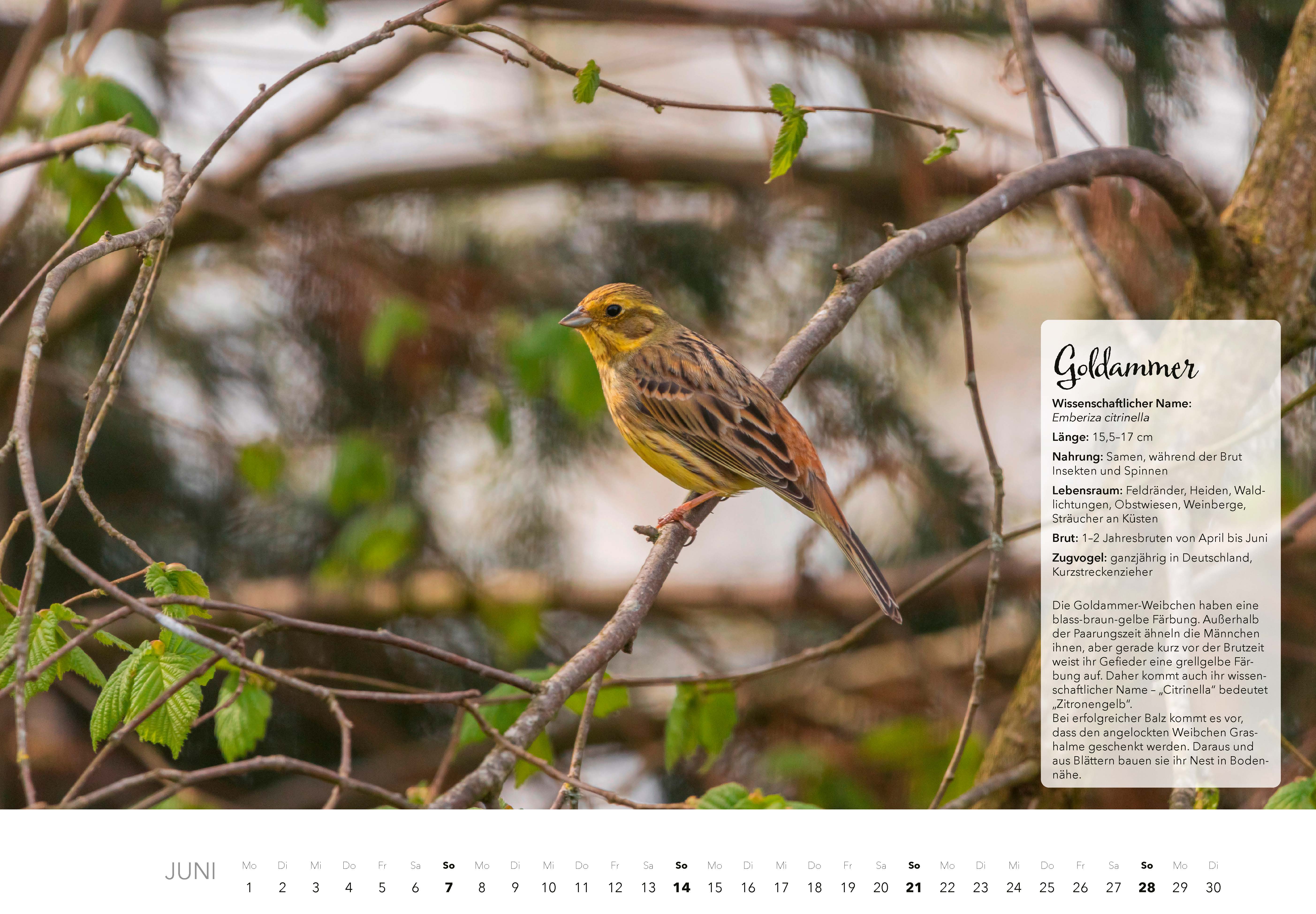 9783966649759_innenansicht_06 9783966649759_innenansicht_06.jpg