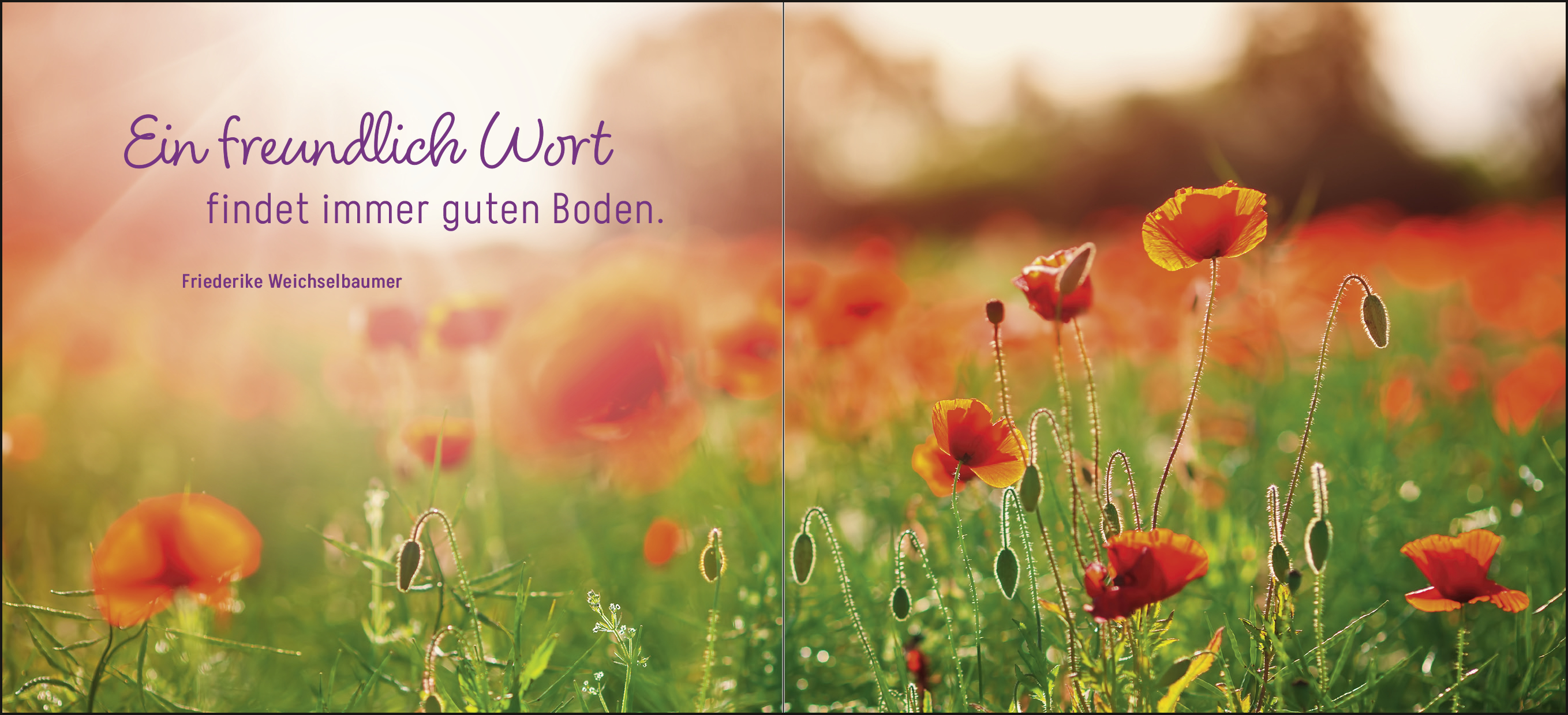 9783848502677_innenansicht_03 9783848502677_innenansicht_03.jpg