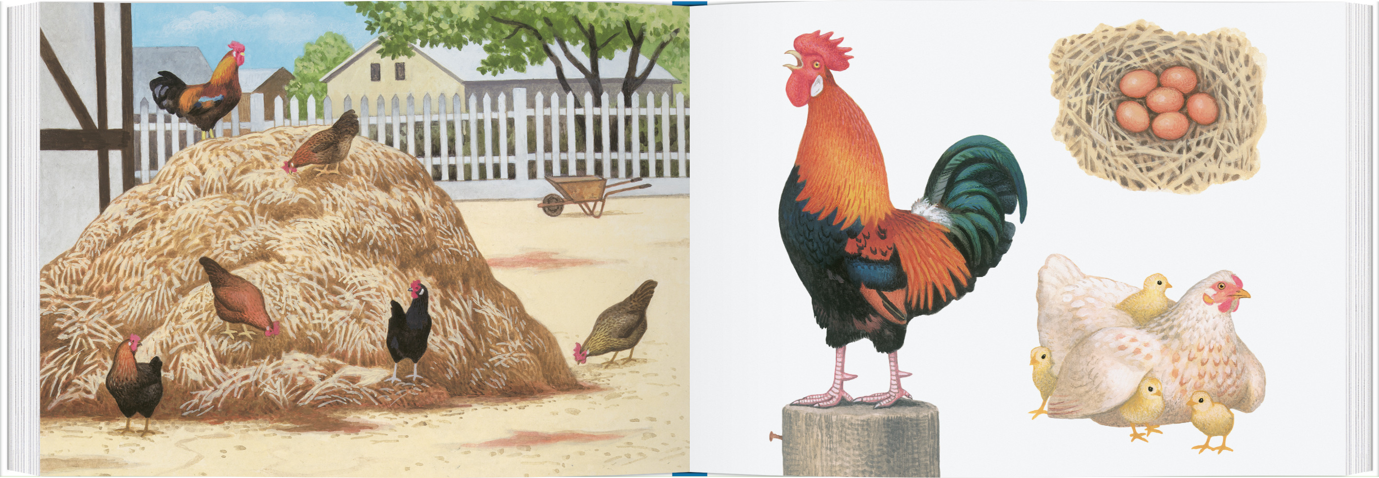 9783836962797_innenansicht_01 9783836962797_innenansicht_01.jpg