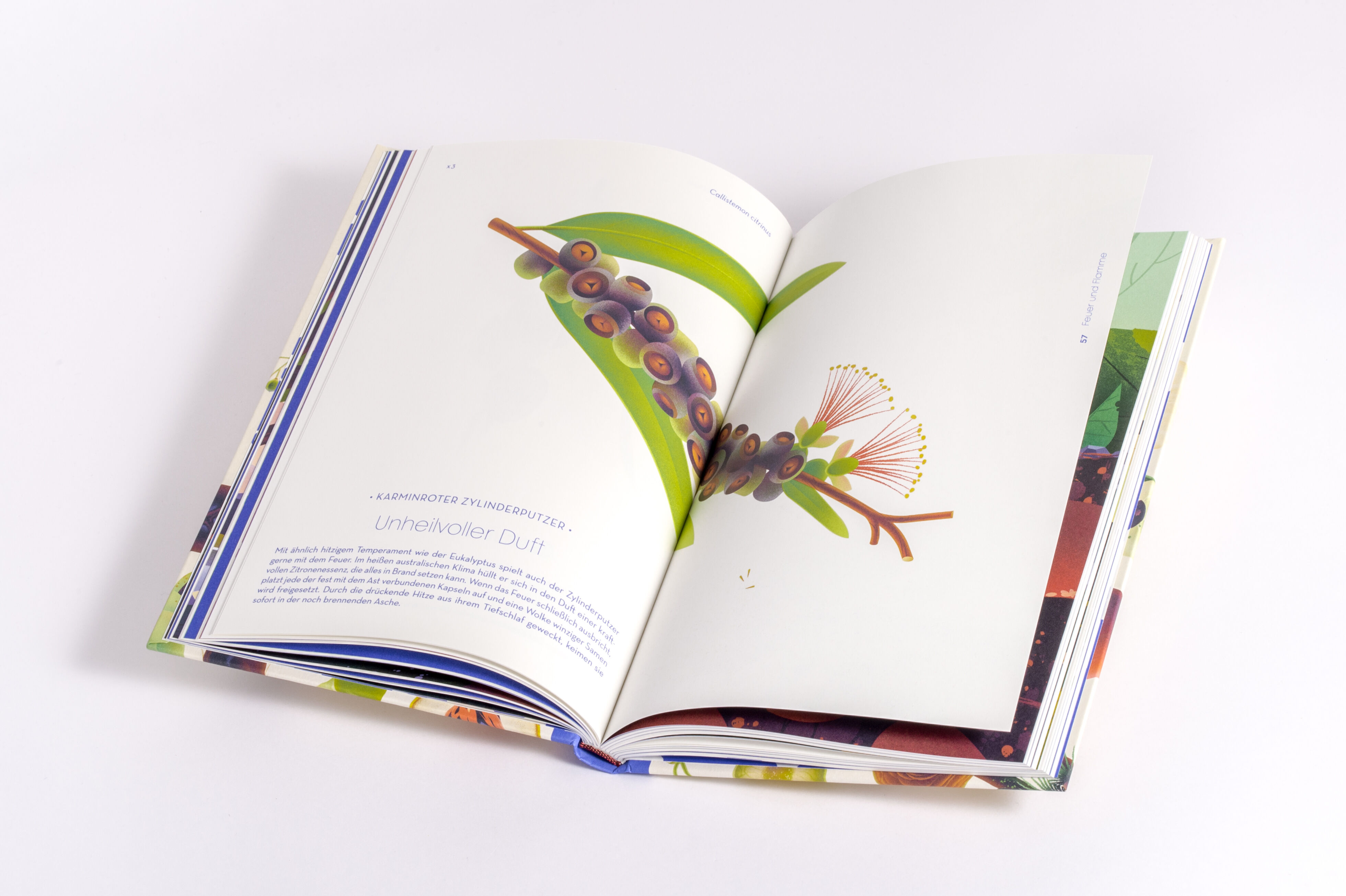 9783791376066_innenansicht_09 9783791376066_innenansicht_09.jpg