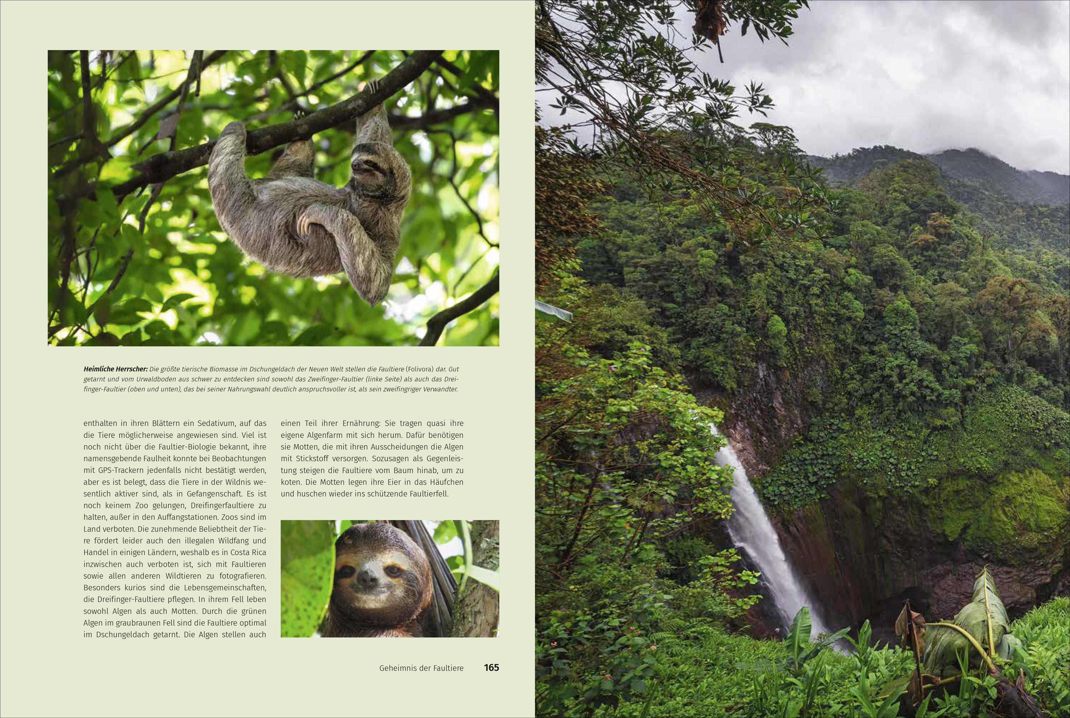 9783987010545_innenansicht_05 9783987010545_innenansicht_05.jpg