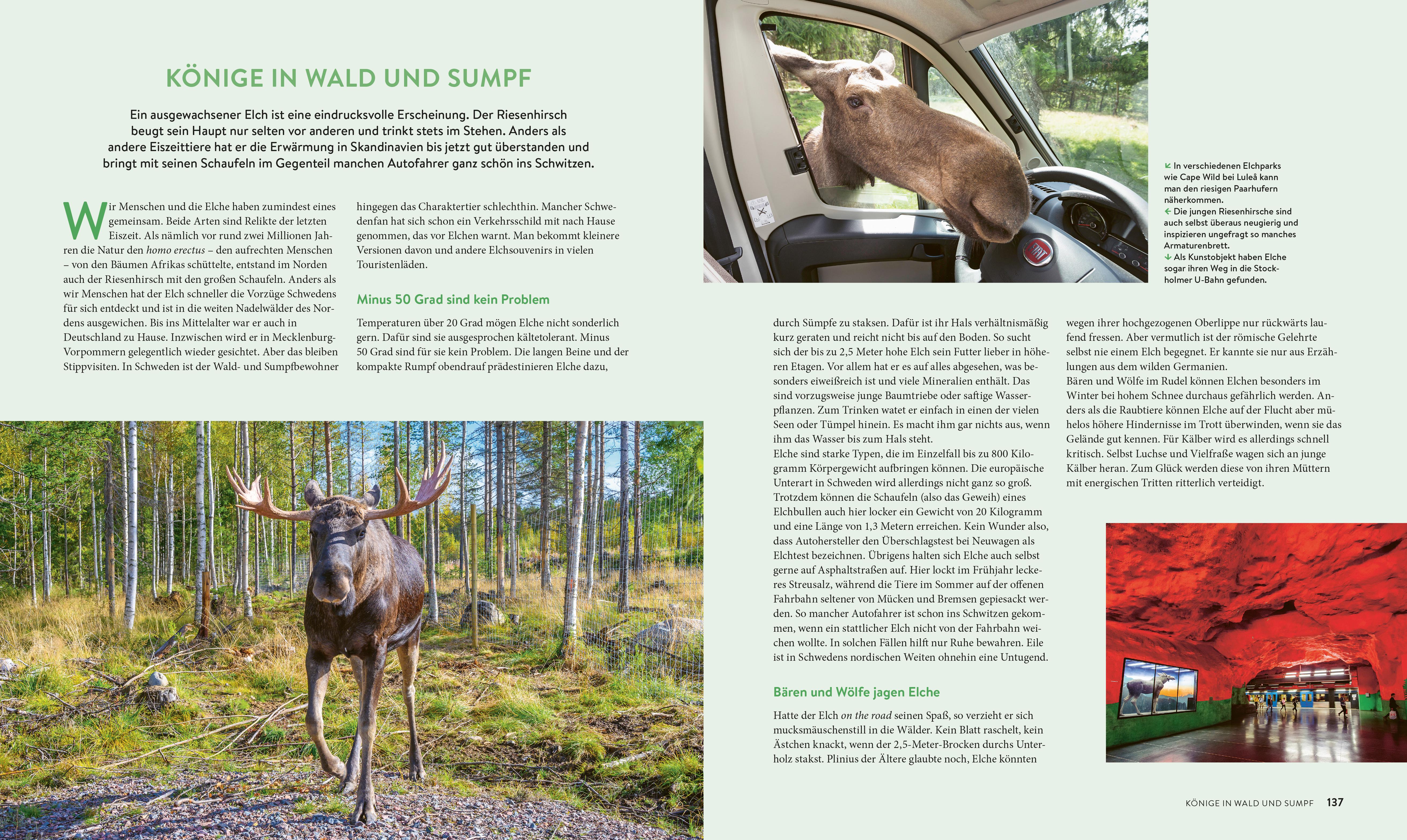 9783734331831_innenansicht_07 9783734331831_innenansicht_07.jpg