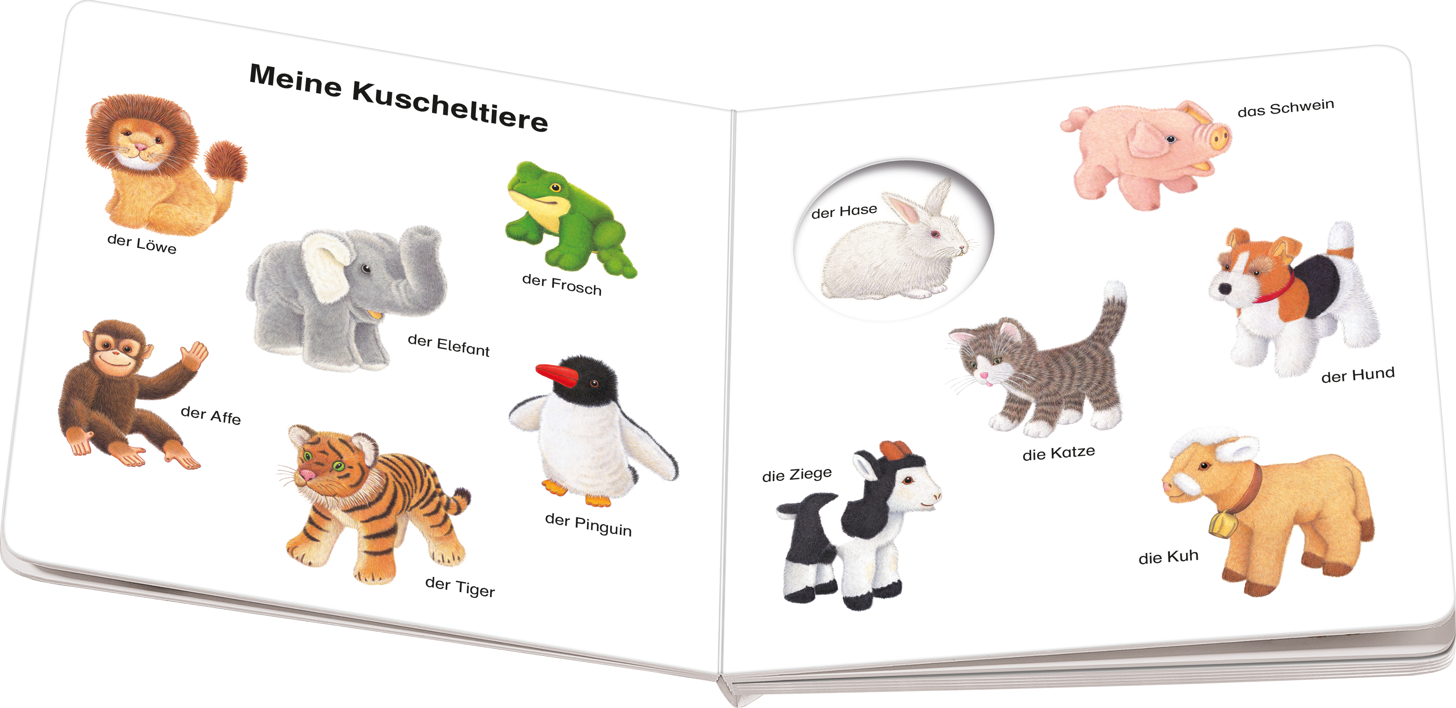9783473418794_innenansicht_02.jpg