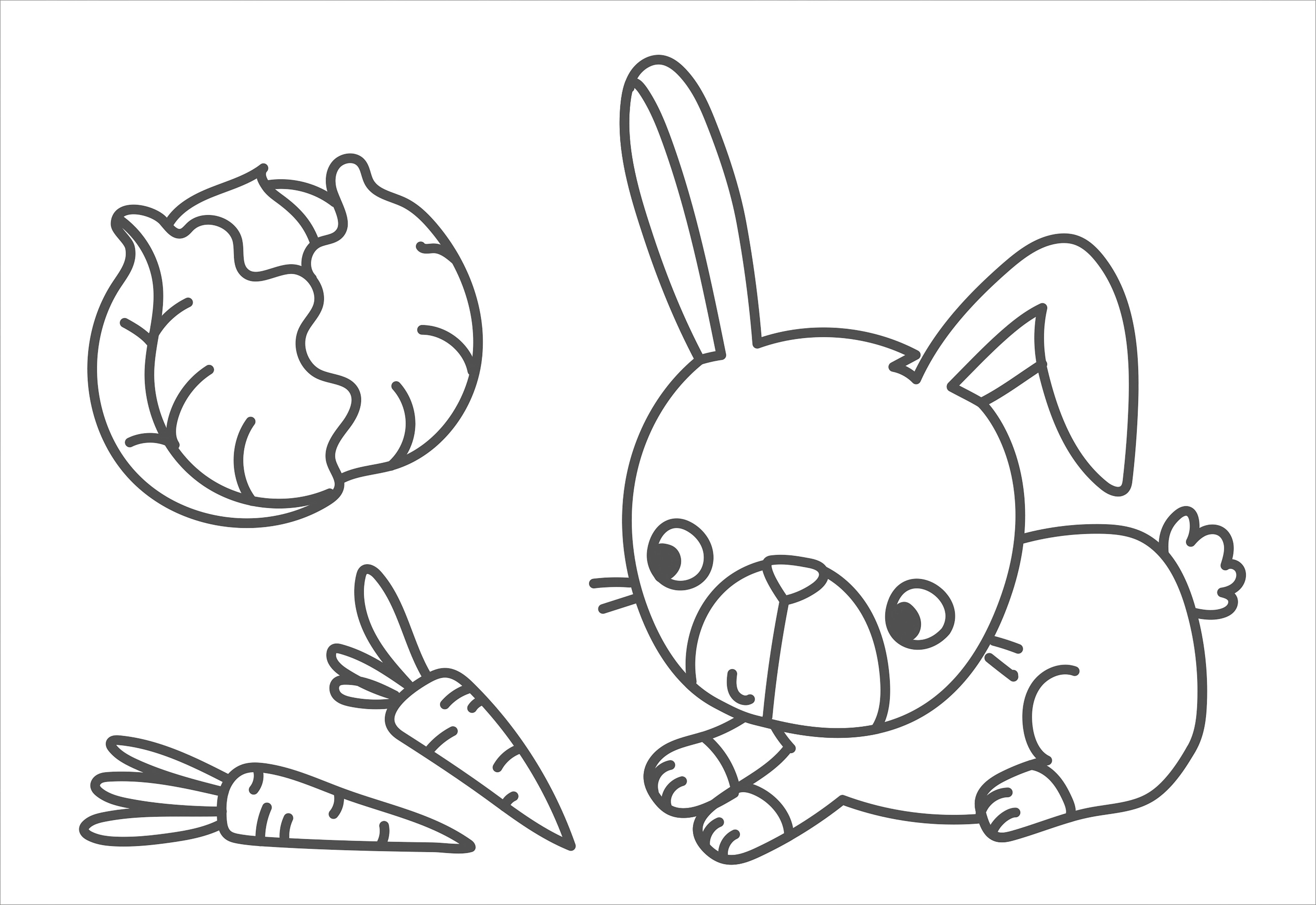 9783788647490_innenansicht_02 9783788647490_innenansicht_02.jpg