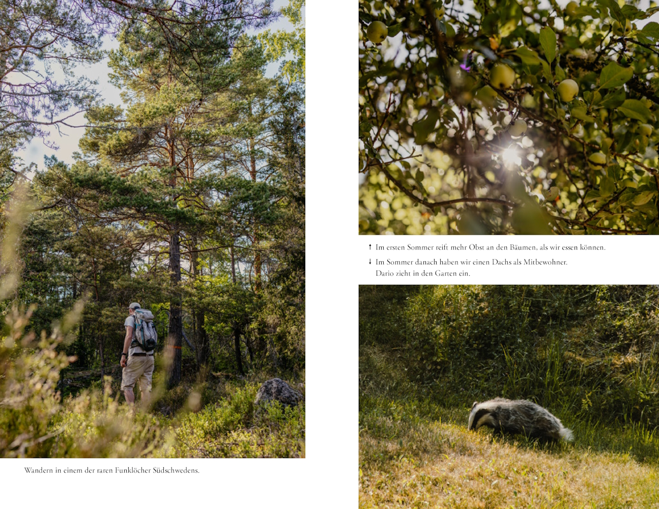 9783957287694_innenansicht_11 9783957287694_innenansicht_11.jpg